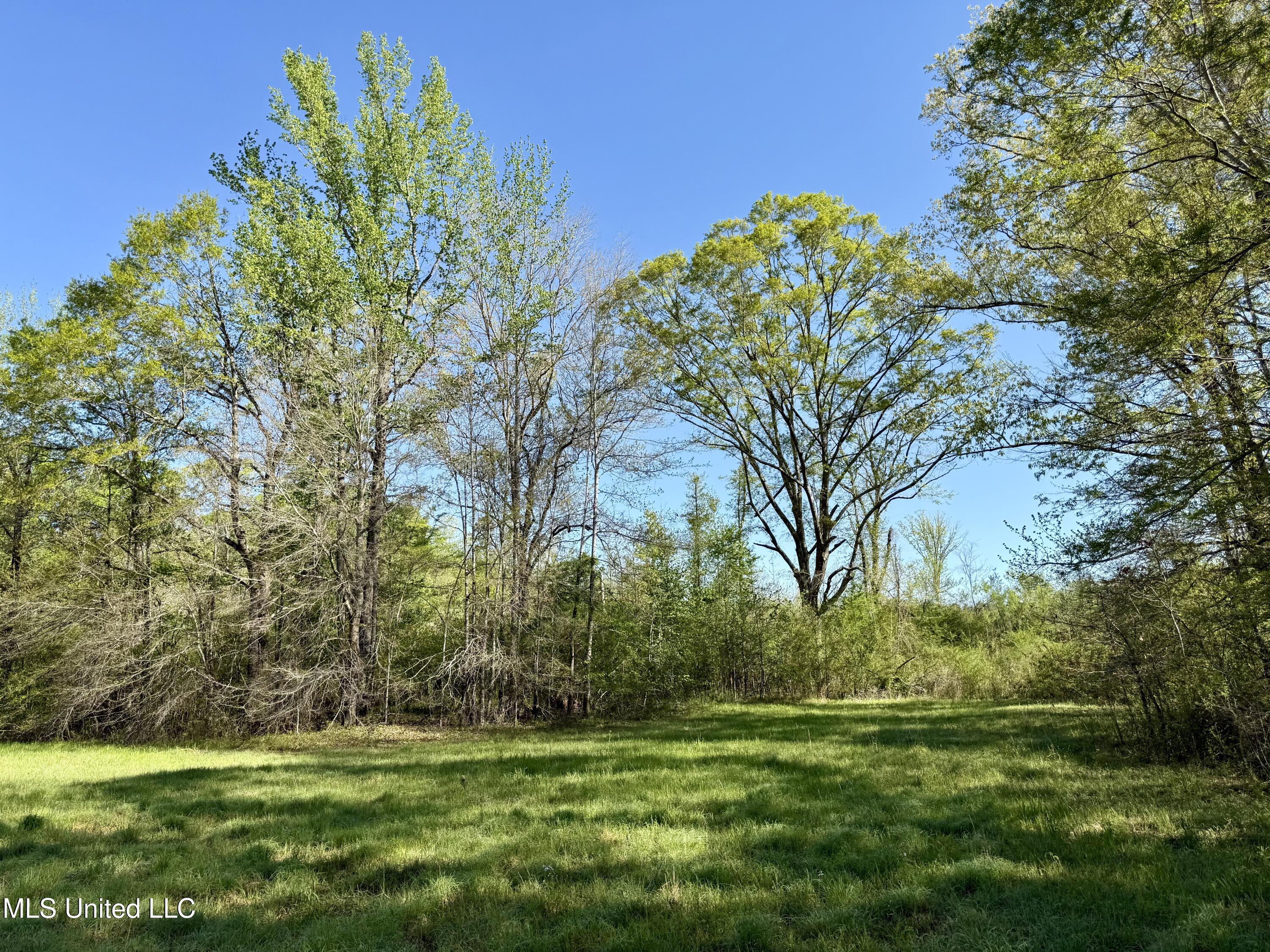 Hwy 12, Lexington, Mississippi image 4