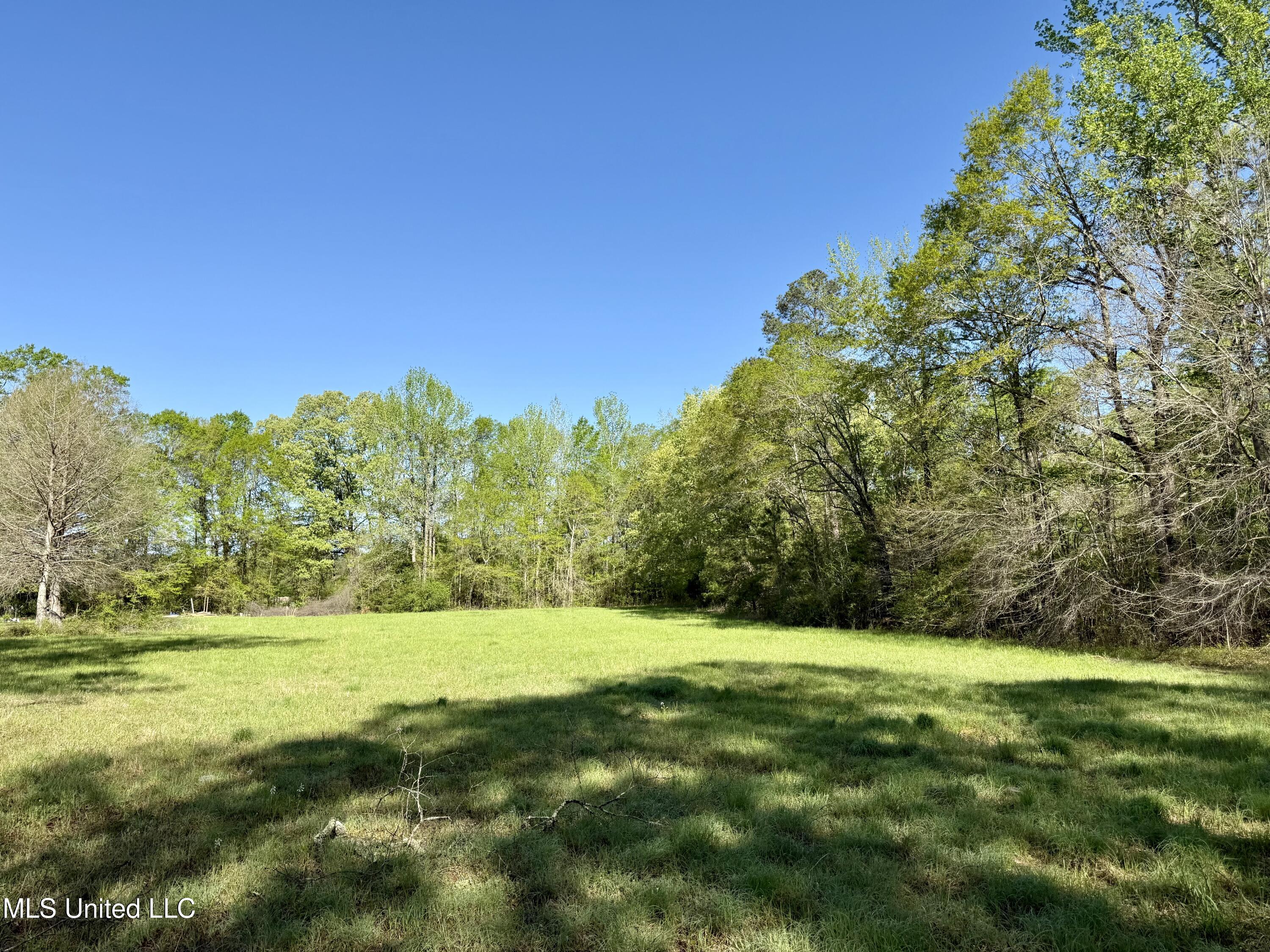 Hwy 12, Lexington, Mississippi image 5