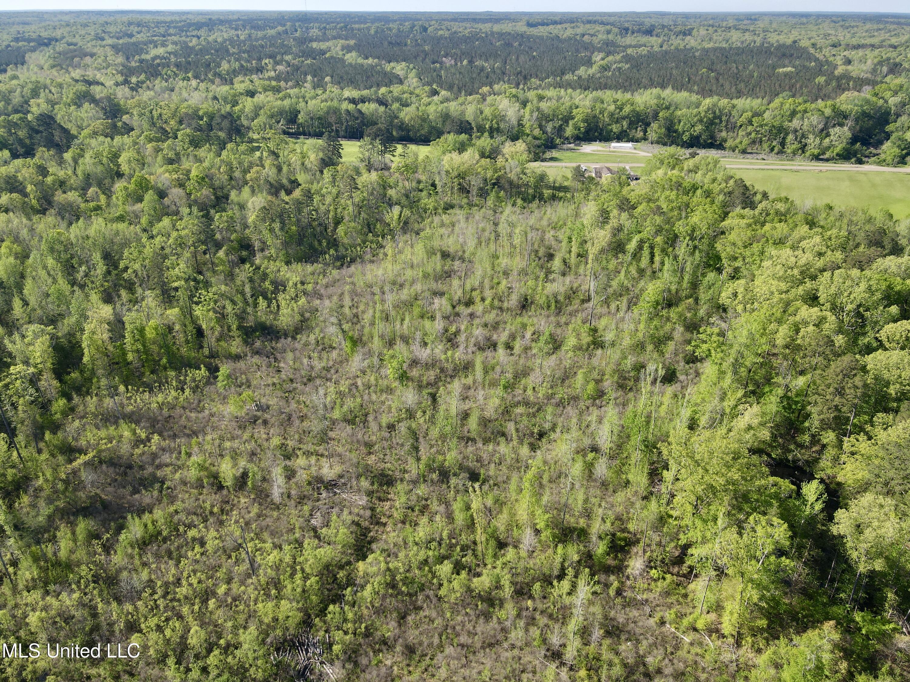 Hwy 12, Lexington, Mississippi image 8