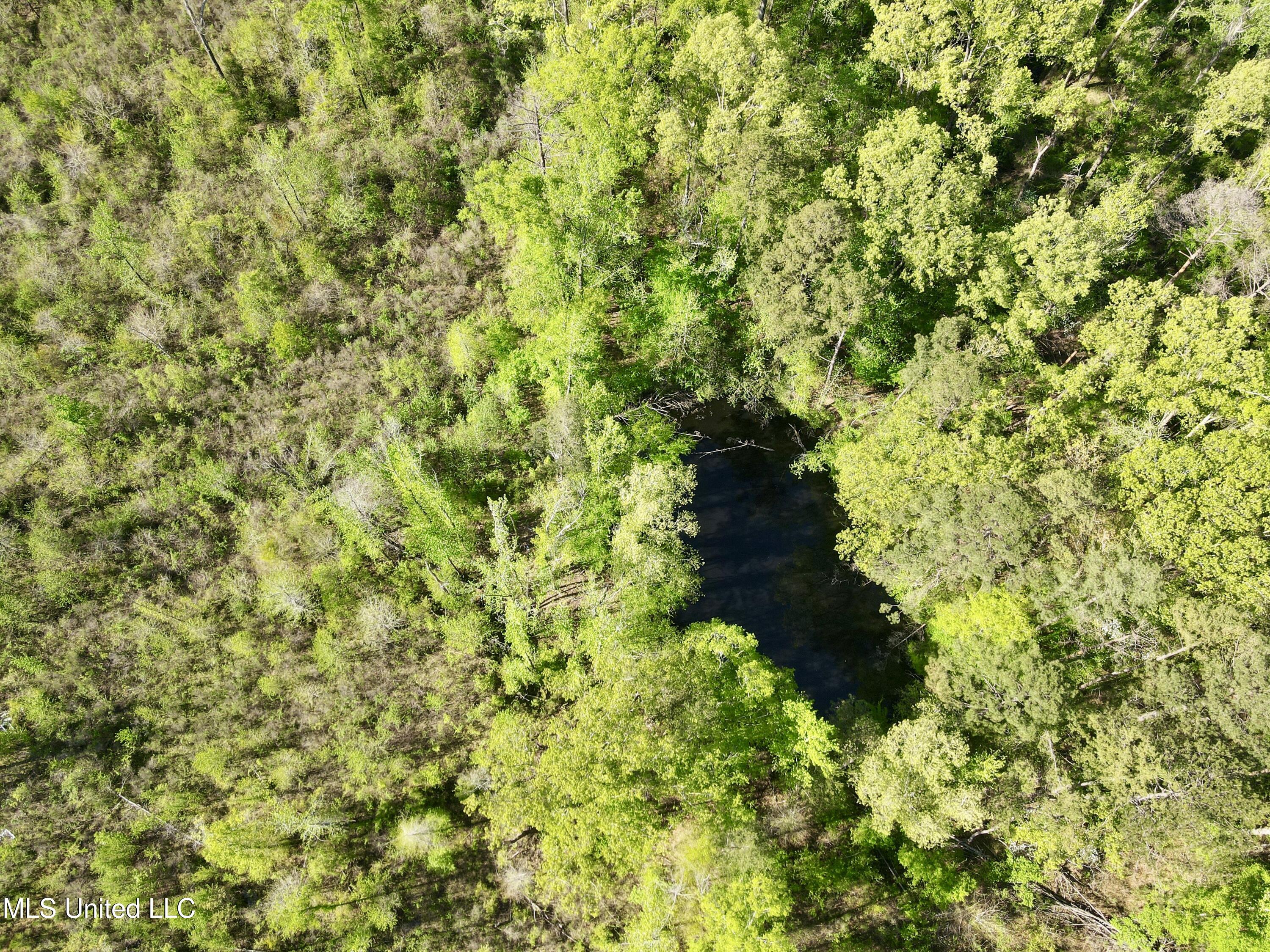 Hwy 12, Lexington, Mississippi image 9