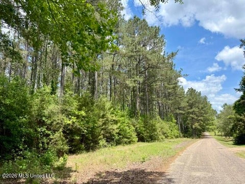 Vacant Land For Sale - 000 Old State Line Road<br/> Walthall County, Tylertown, MS 39667