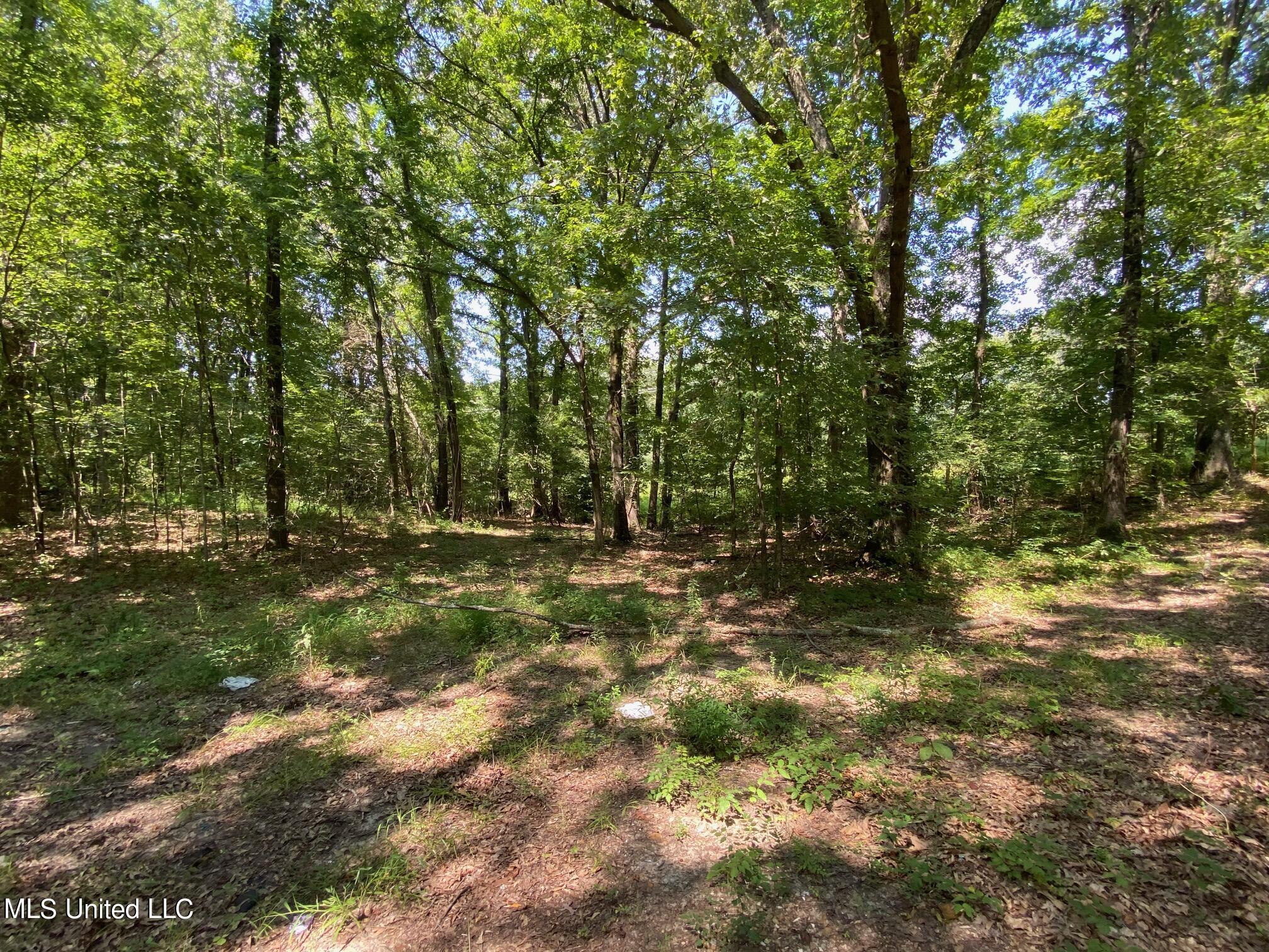 Stateline Road, Walls, Mississippi image 1