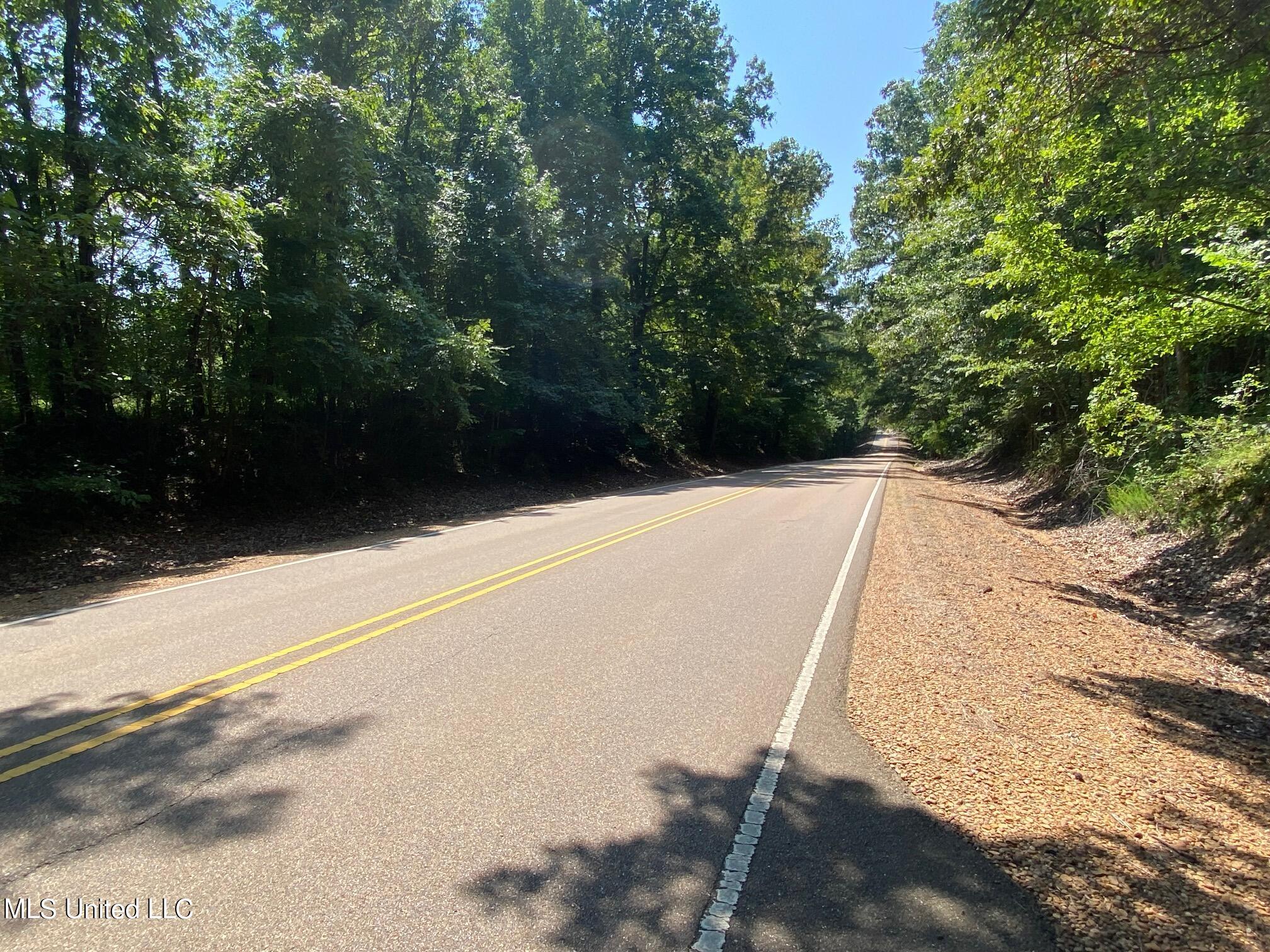 Stateline Road, Walls, Mississippi image 2