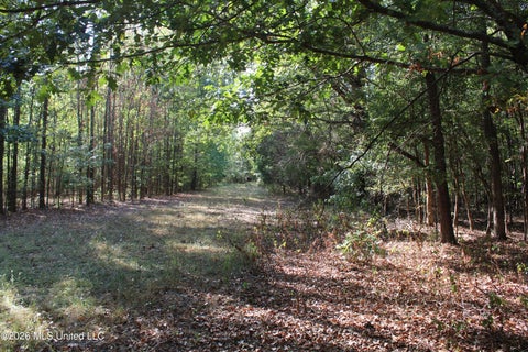 Vacant Land For Sale - 16 Tulane Road<br/> Nesbit, MS 38651