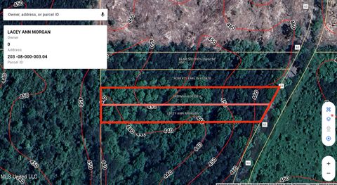 Vacant Land For Sale - Smith County Road 63<br/> Mize, MS 39116