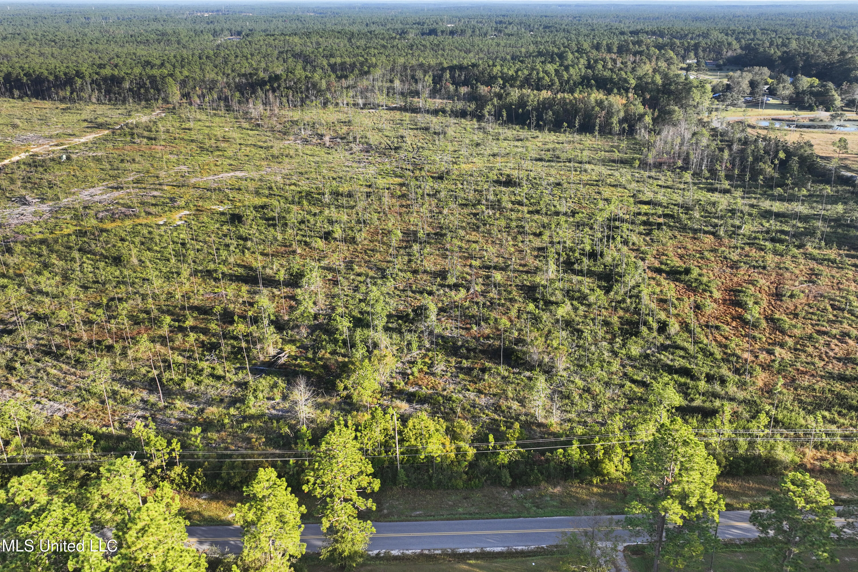 13101 Jim Ramsay Road, Vancleave, Mississippi image 3