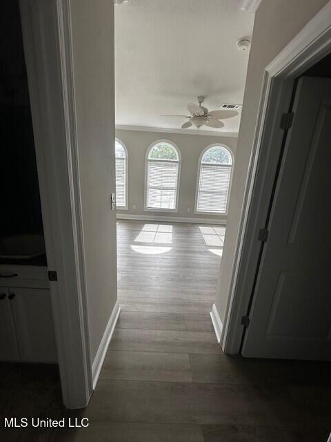 80 E Beach Street #4, Gulfport, Mississippi image 17