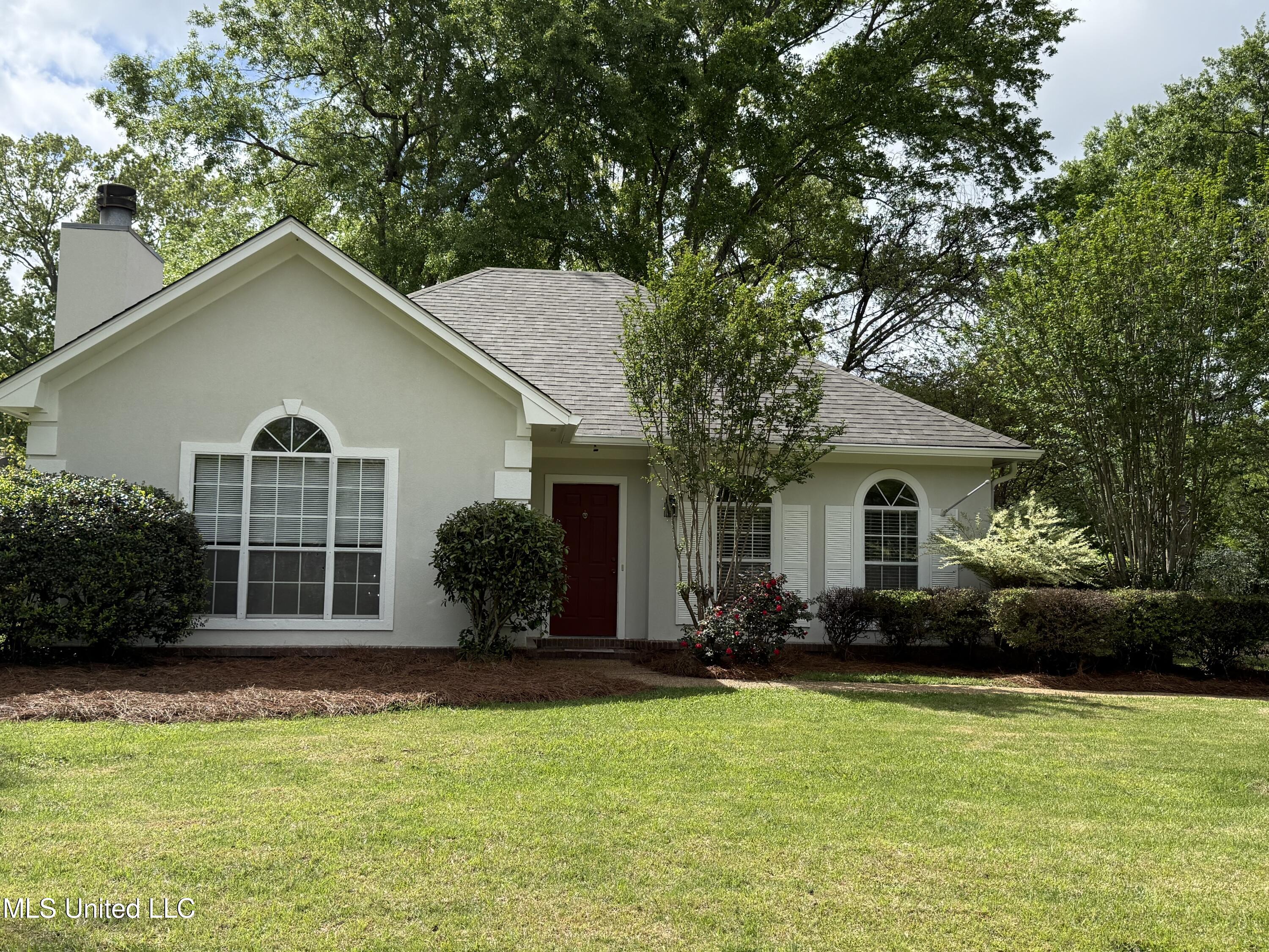 157 Trace Ridge Drive, Ridgeland, Mississippi image 4