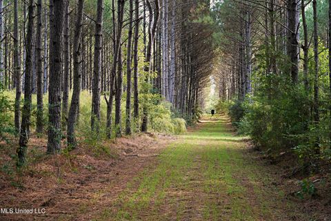 Vacant Land For Sale - 2093 Mallalieu Dr Se Dr<br/> Lincoln County, Ruth, MS 39662