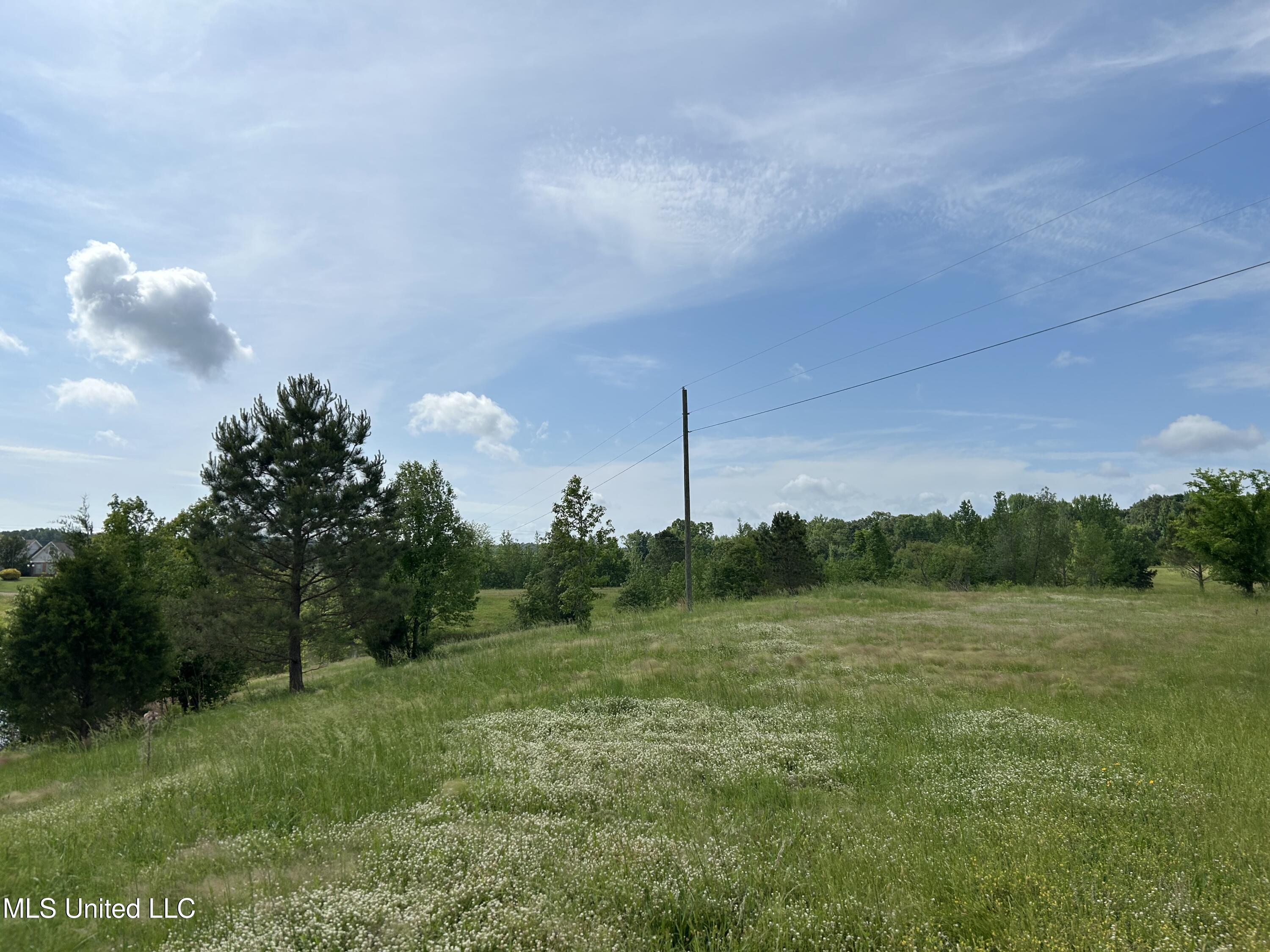 Highland Hills Road, Grenada, Mississippi image 9