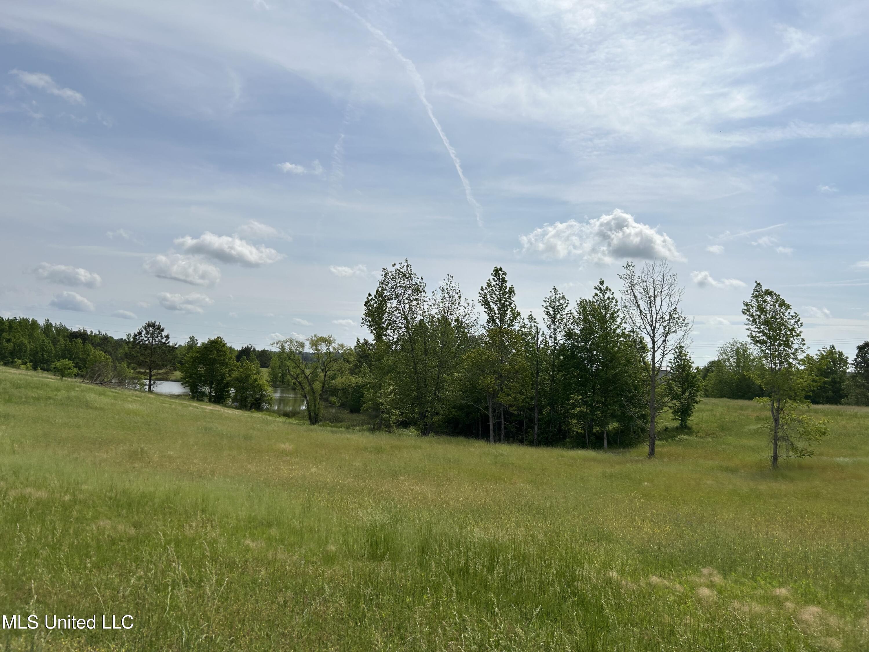 Highland Hills Road, Grenada, Mississippi image 12