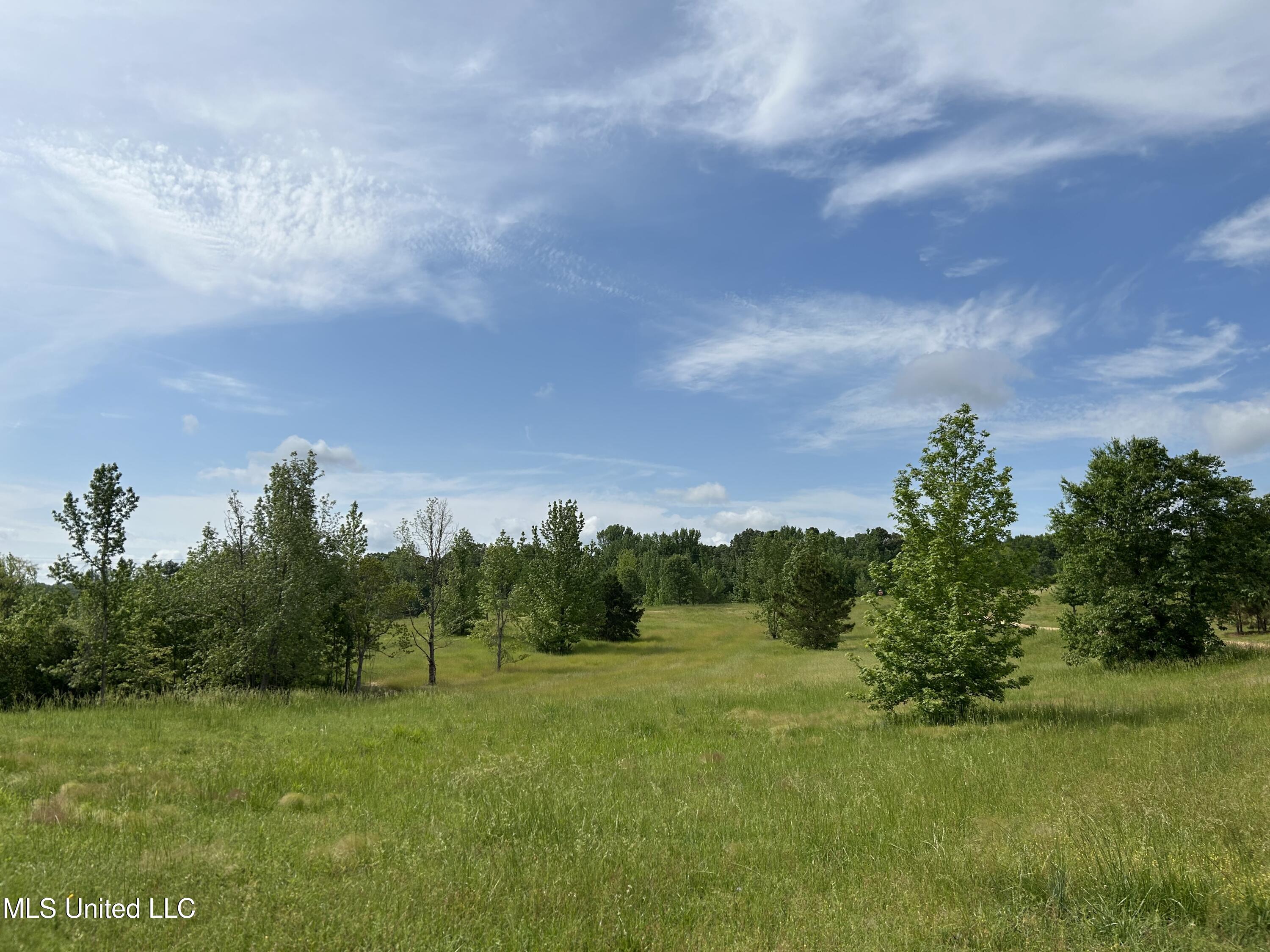 Highland Hills Road, Grenada, Mississippi image 11