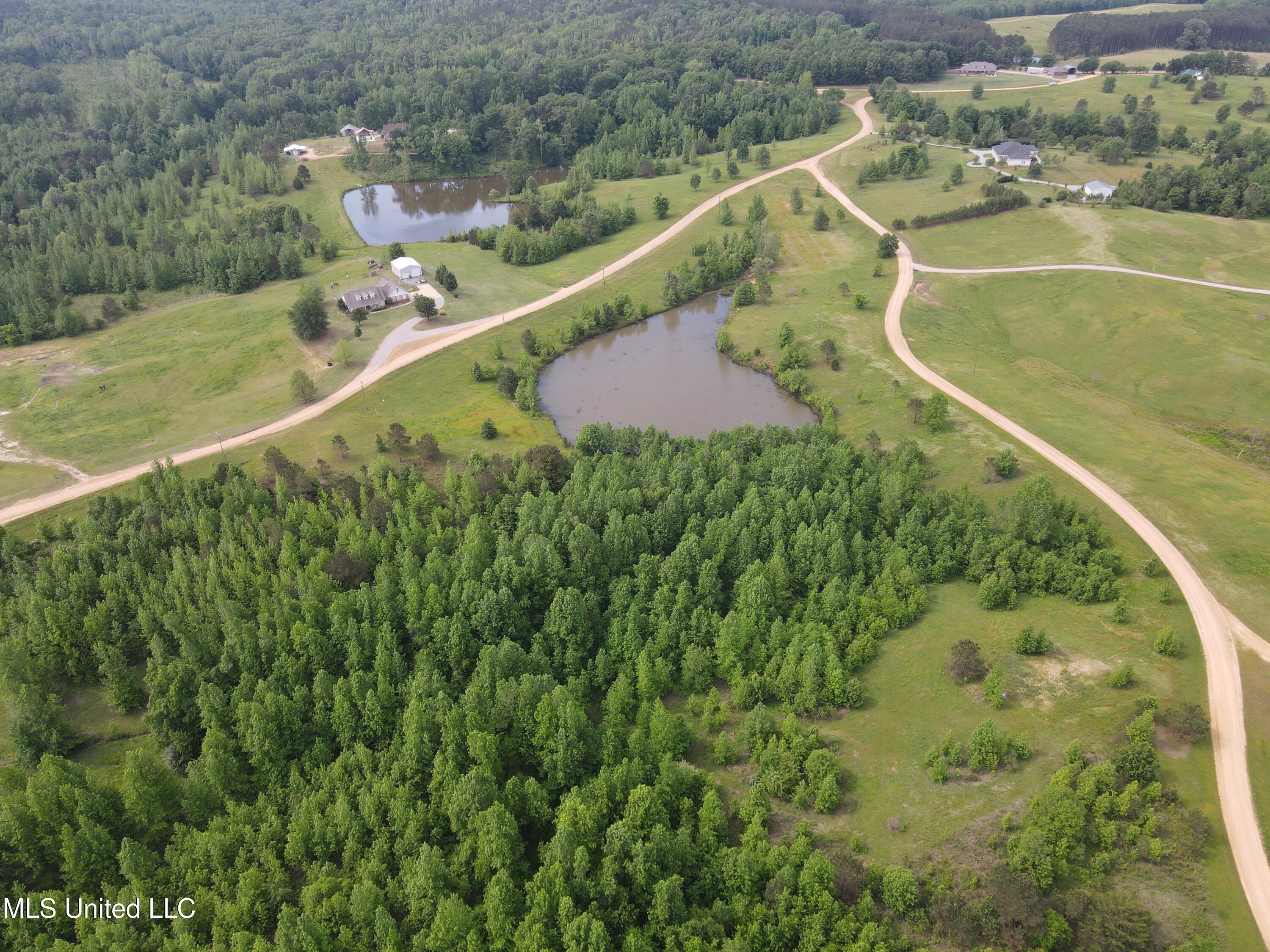 Highland Hills Road, Grenada, Mississippi image 13