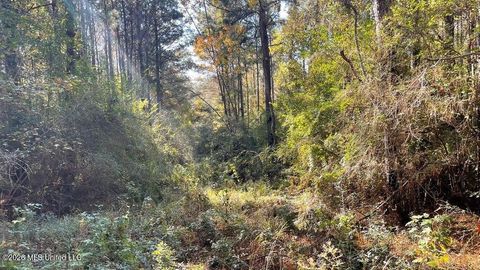 Vacant Land For Sale - Delaware Avenue<br/> Pike County, McComb, MS 39648