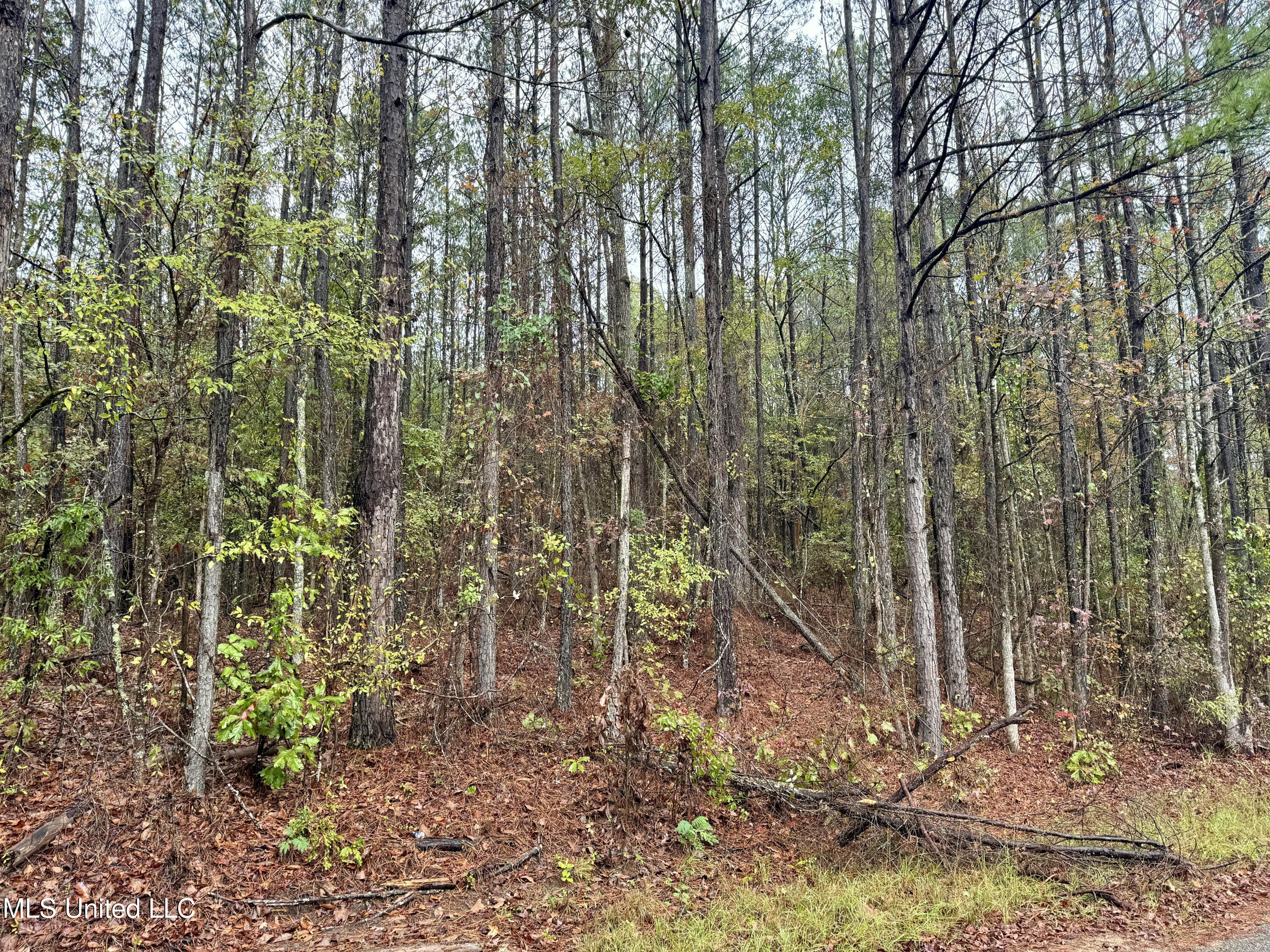 Cr Rd 82, Coffeeville, Mississippi image 9