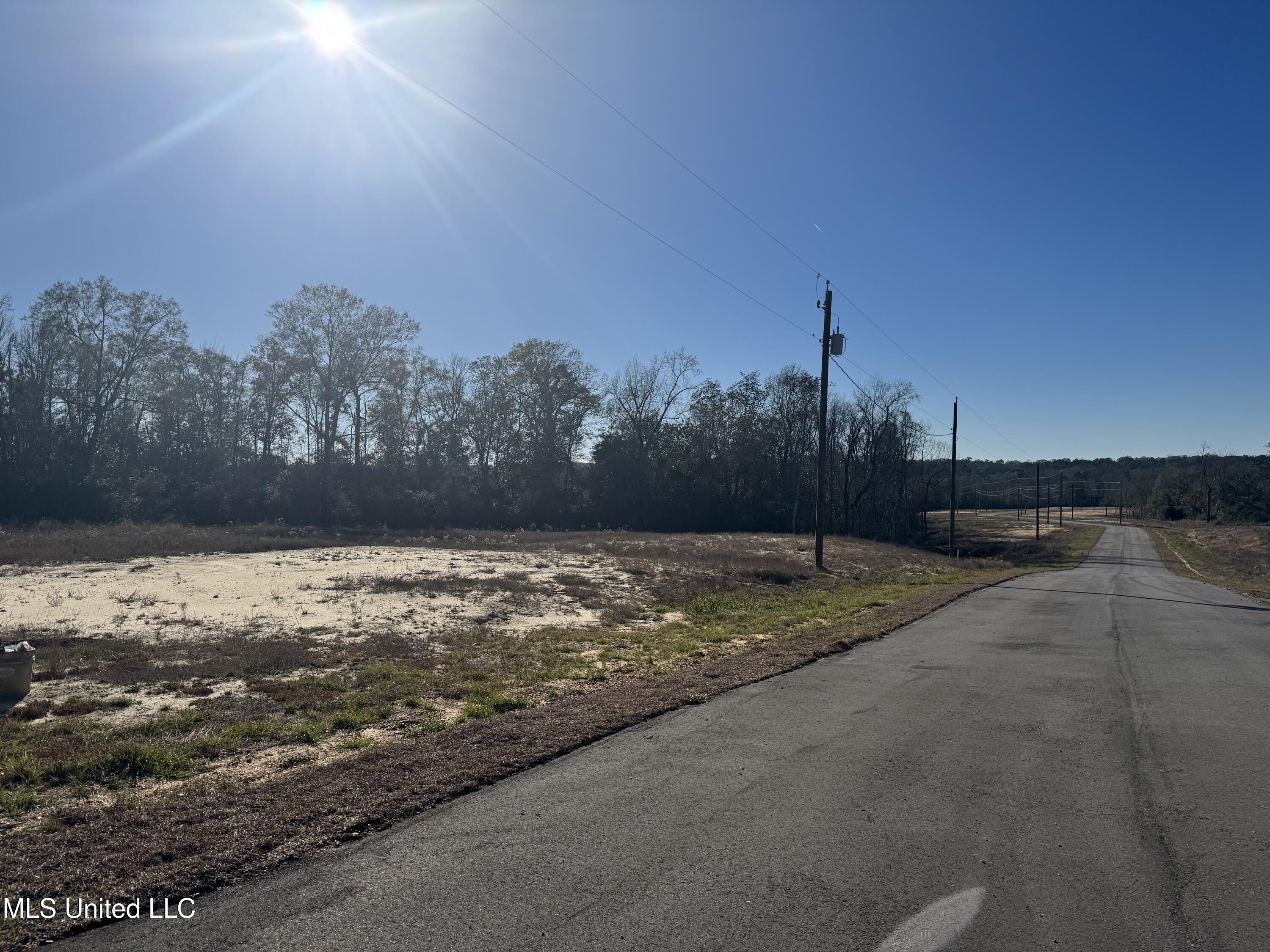 Shadow Wood - Lot 5 Drive, Perkinston, Mississippi image 2