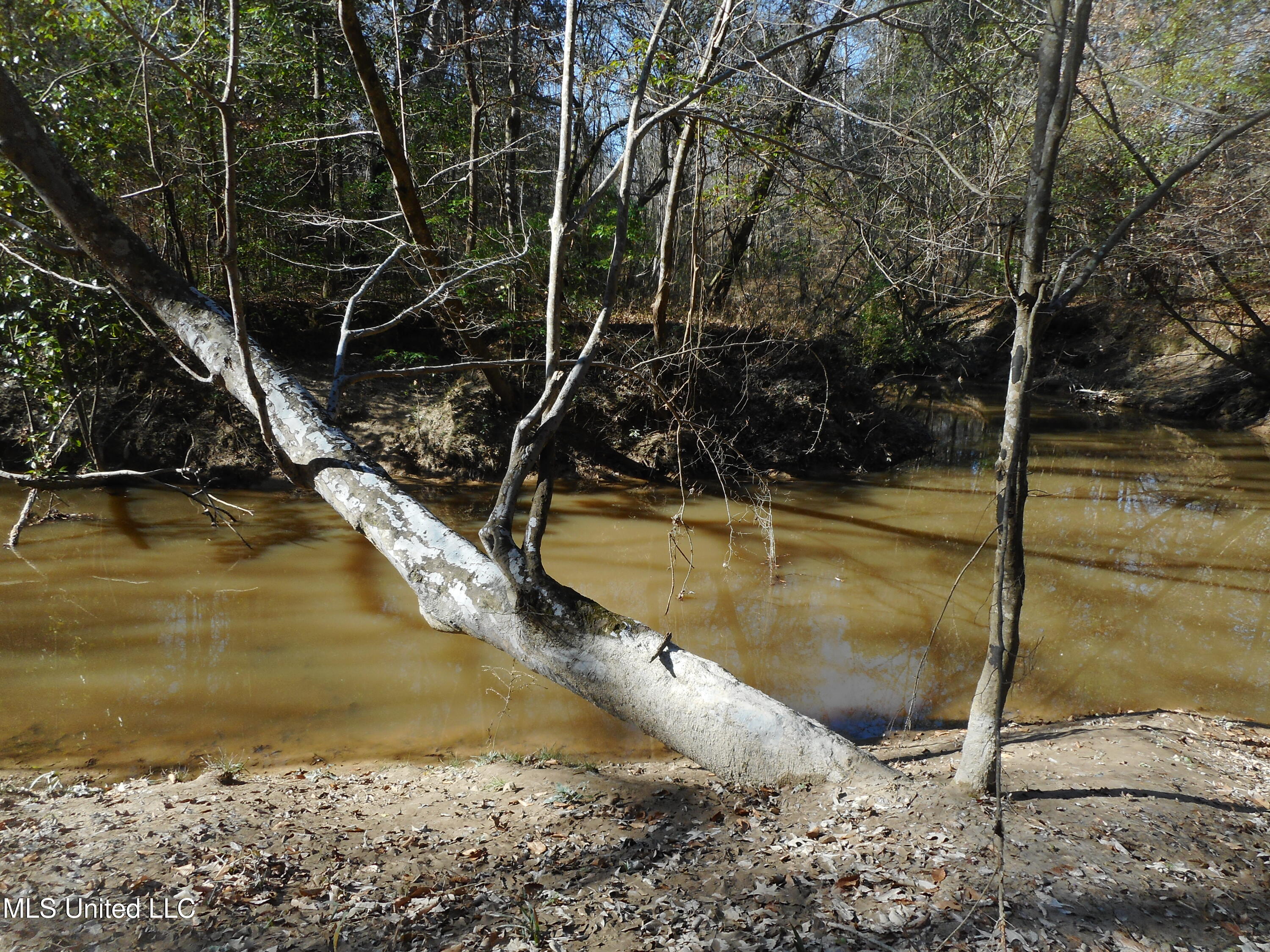 Peter Mcaffee Drive, Brandon, Mississippi image 3