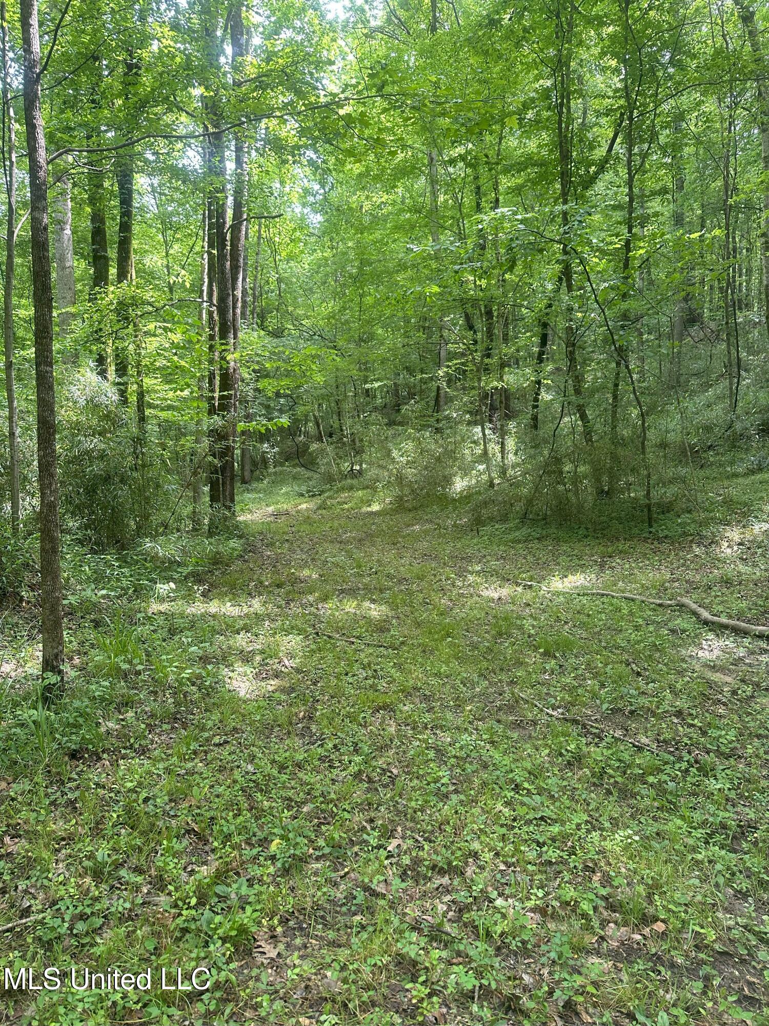 768 Lake Boulevard, Vicksburg, Mississippi image 21