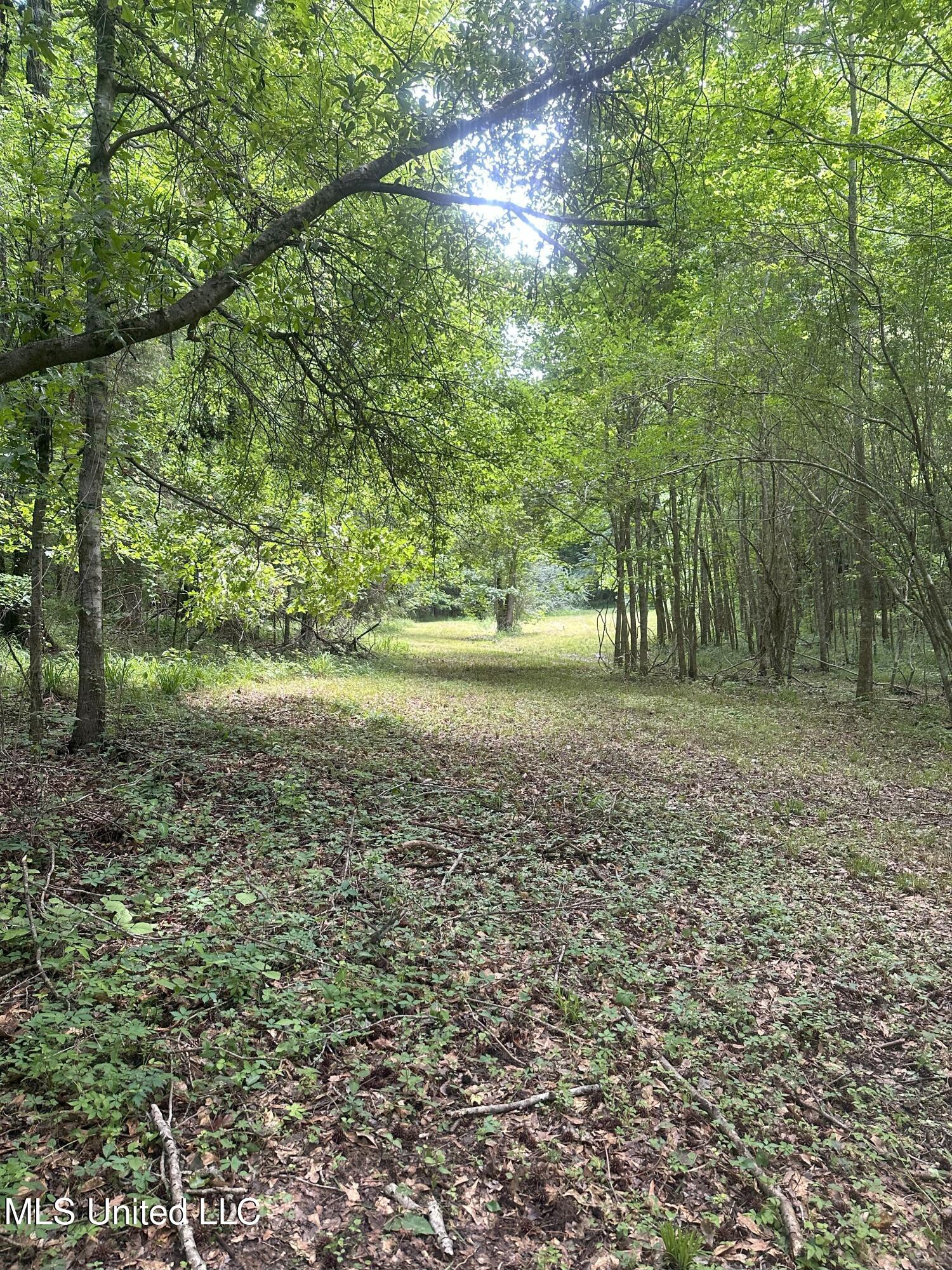 768 Lake Boulevard, Vicksburg, Mississippi image 22