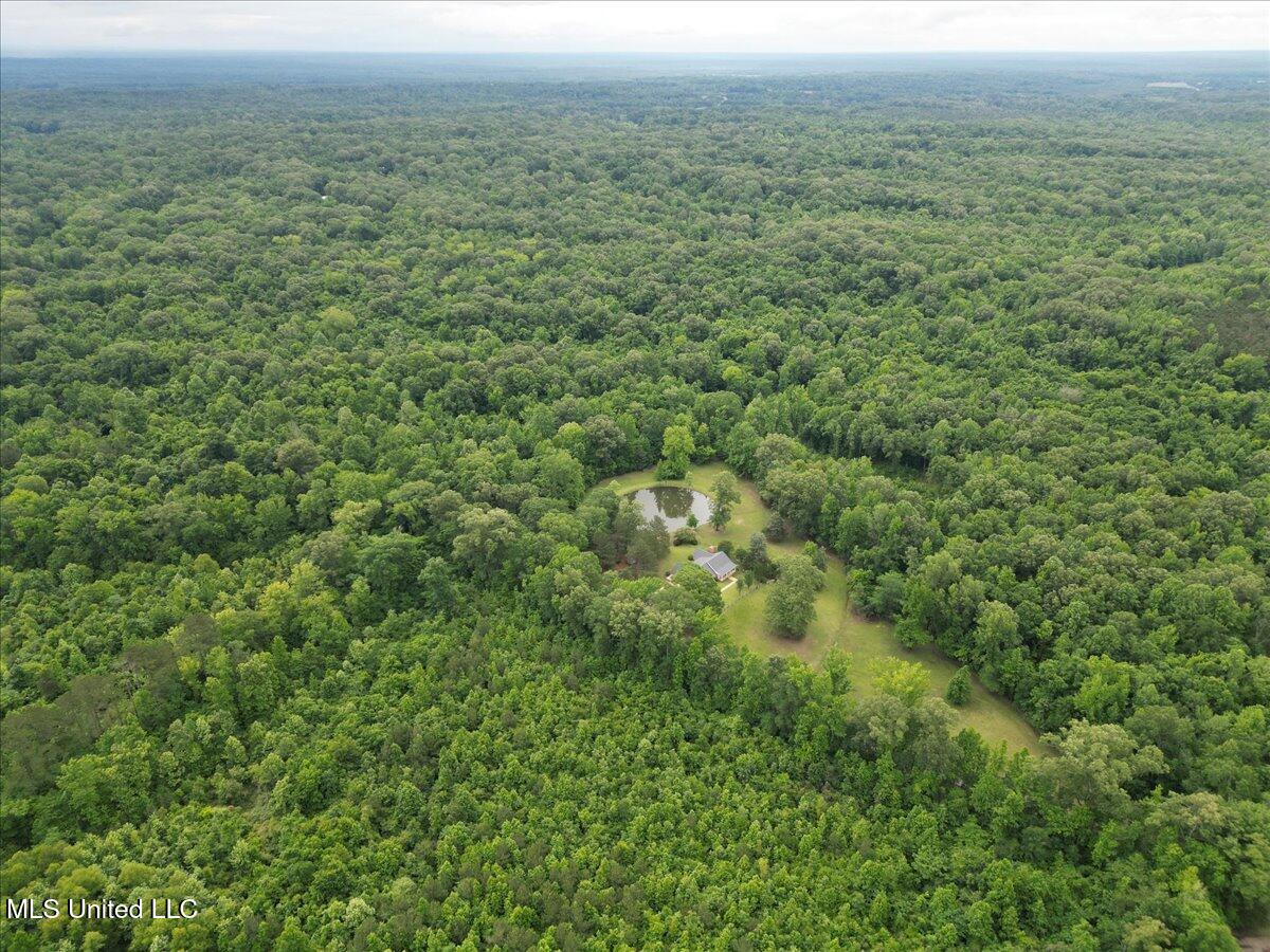 768 Lake Boulevard, Vicksburg, Mississippi image 17