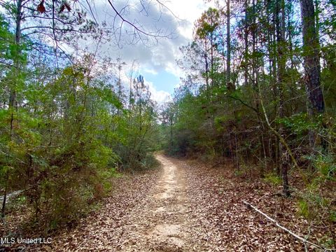 Vacant Land For Sale - 167 Bear Drive<br/> Carriere, MS 39426