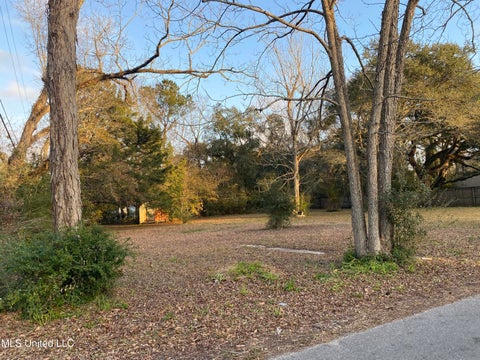 Vacant Land For Sale - 6924 Barnes Road Road<br/> Moss Point, MS 39563