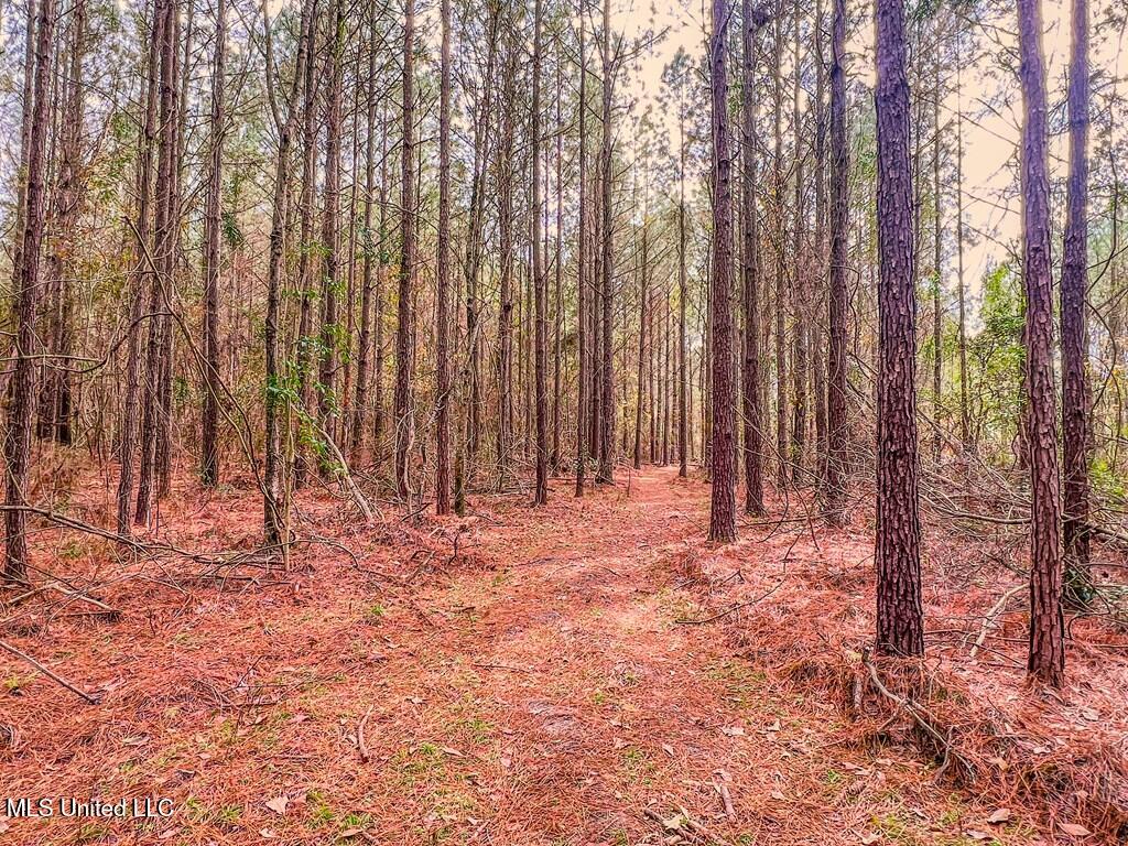 24 Nelson Road, Poplarville, Mississippi image 7