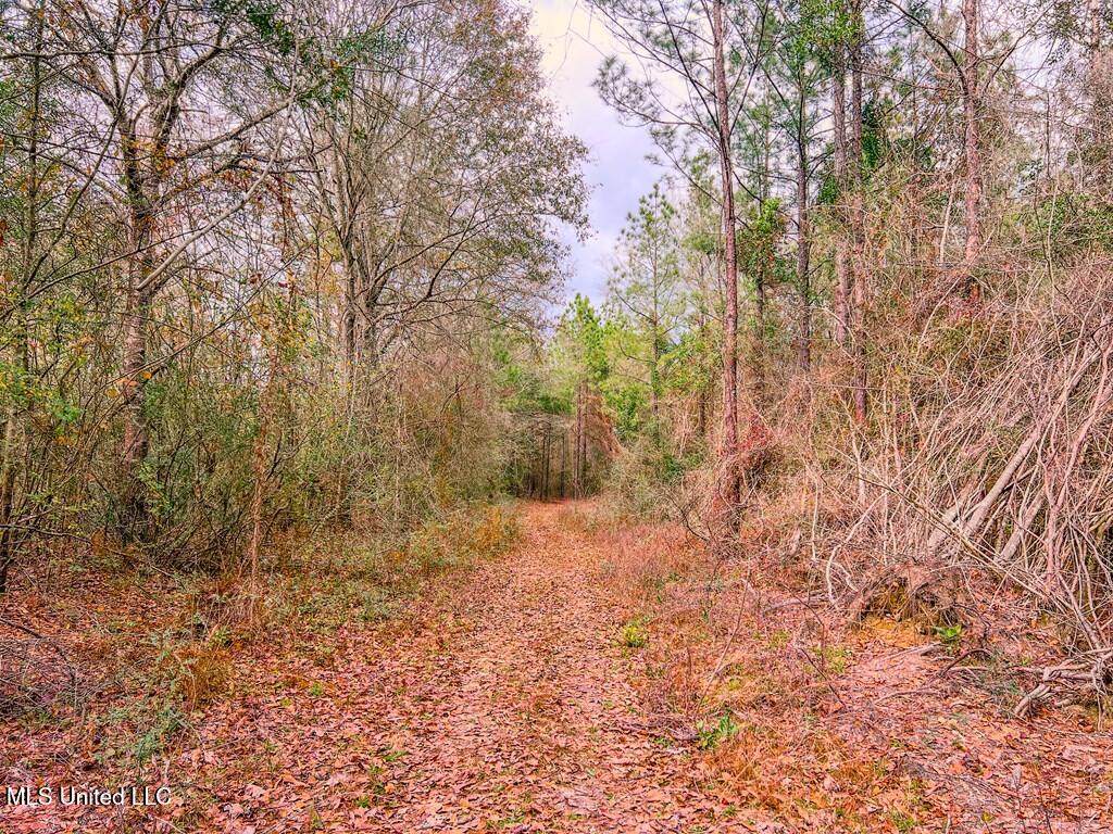 24 Nelson Road, Poplarville, Mississippi image 6