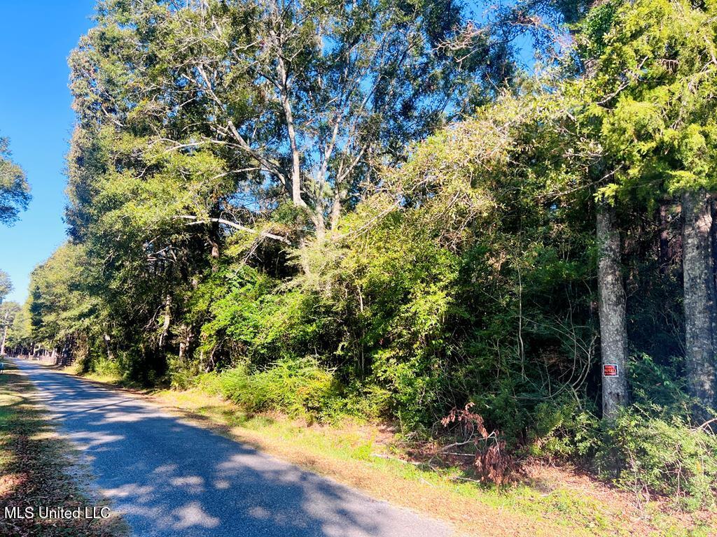 24 Nelson Road, Poplarville, Mississippi image 1