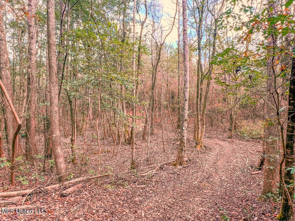24 Nelson Road, Poplarville, Mississippi image 8