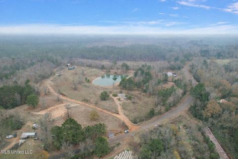 Vacant Land For Sale - Coosa Road<br/> Leake County, Carthage, MS 39051