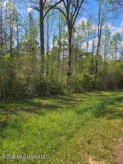 Vacant Land For Sale - I-55 S Interstate 55<br/> Pike County, Magnolia, MS 39652