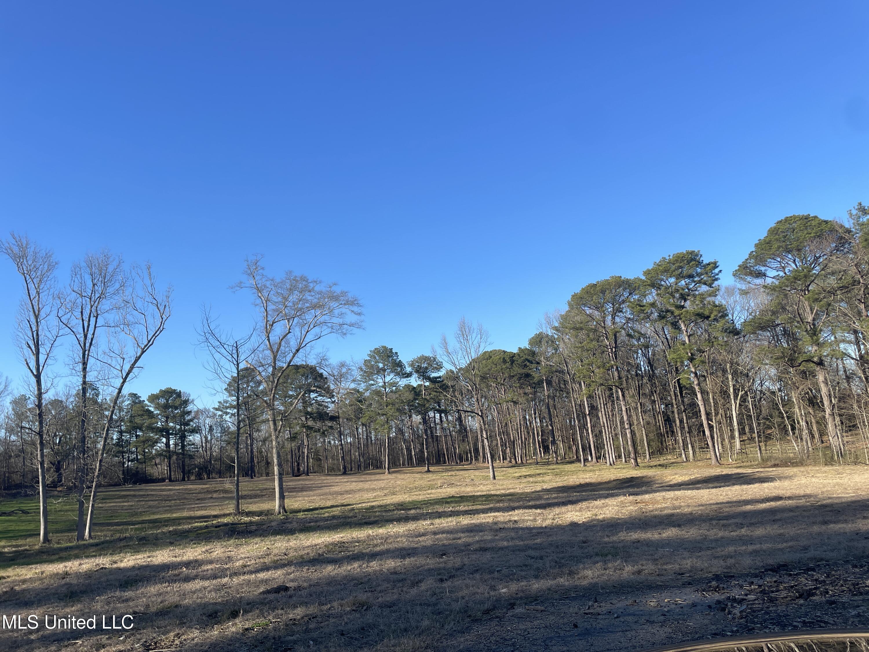 161 Autumn Woods Drive, Madison, Mississippi image 7