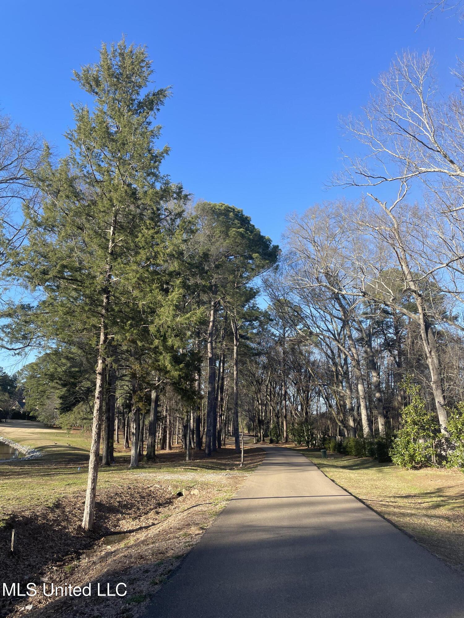 161 Autumn Woods Drive, Madison, Mississippi image 2