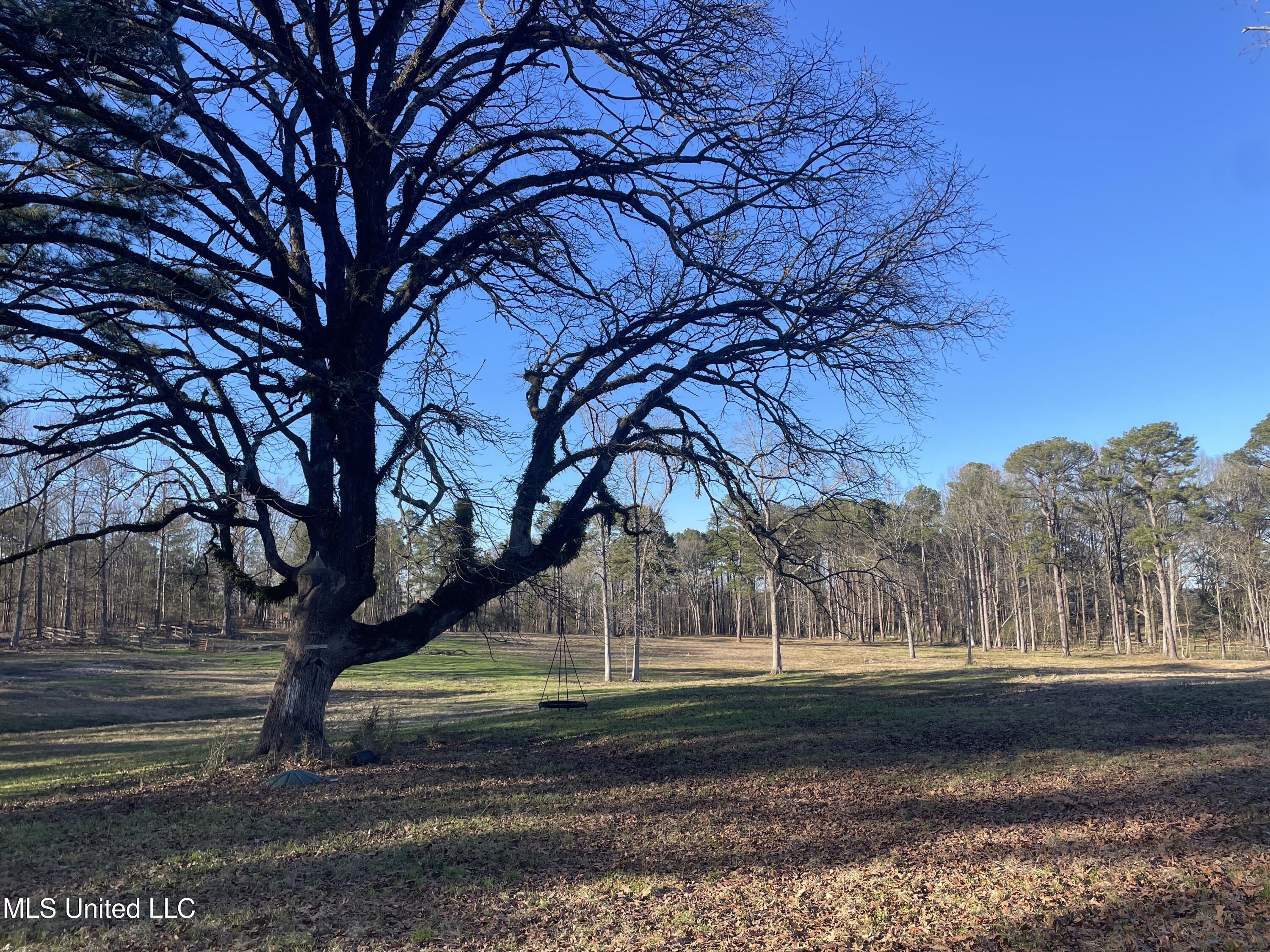 161 Autumn Woods Drive, Madison, Mississippi image 5