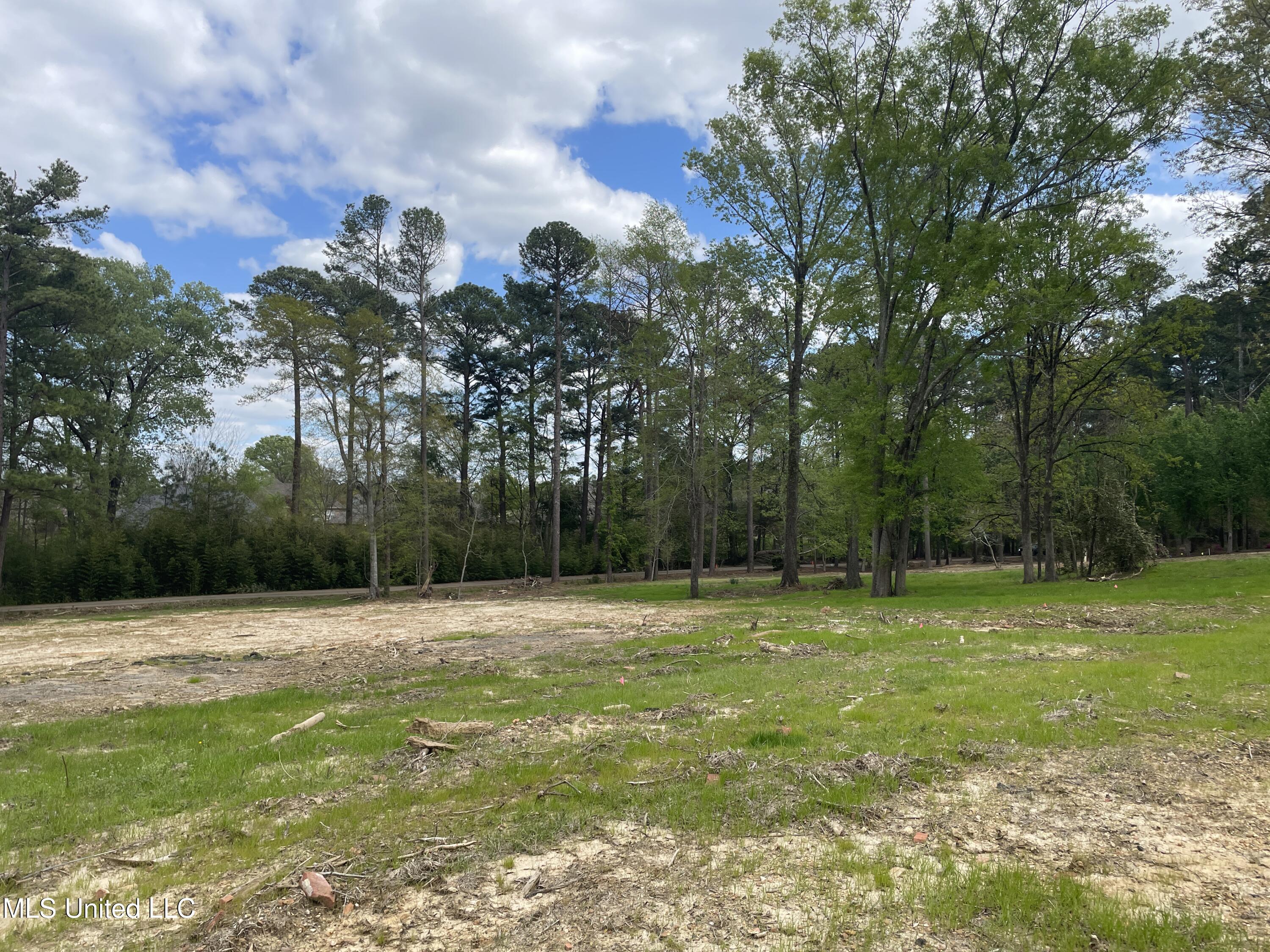 161 Autumn Woods Drive, Madison, Mississippi image 9