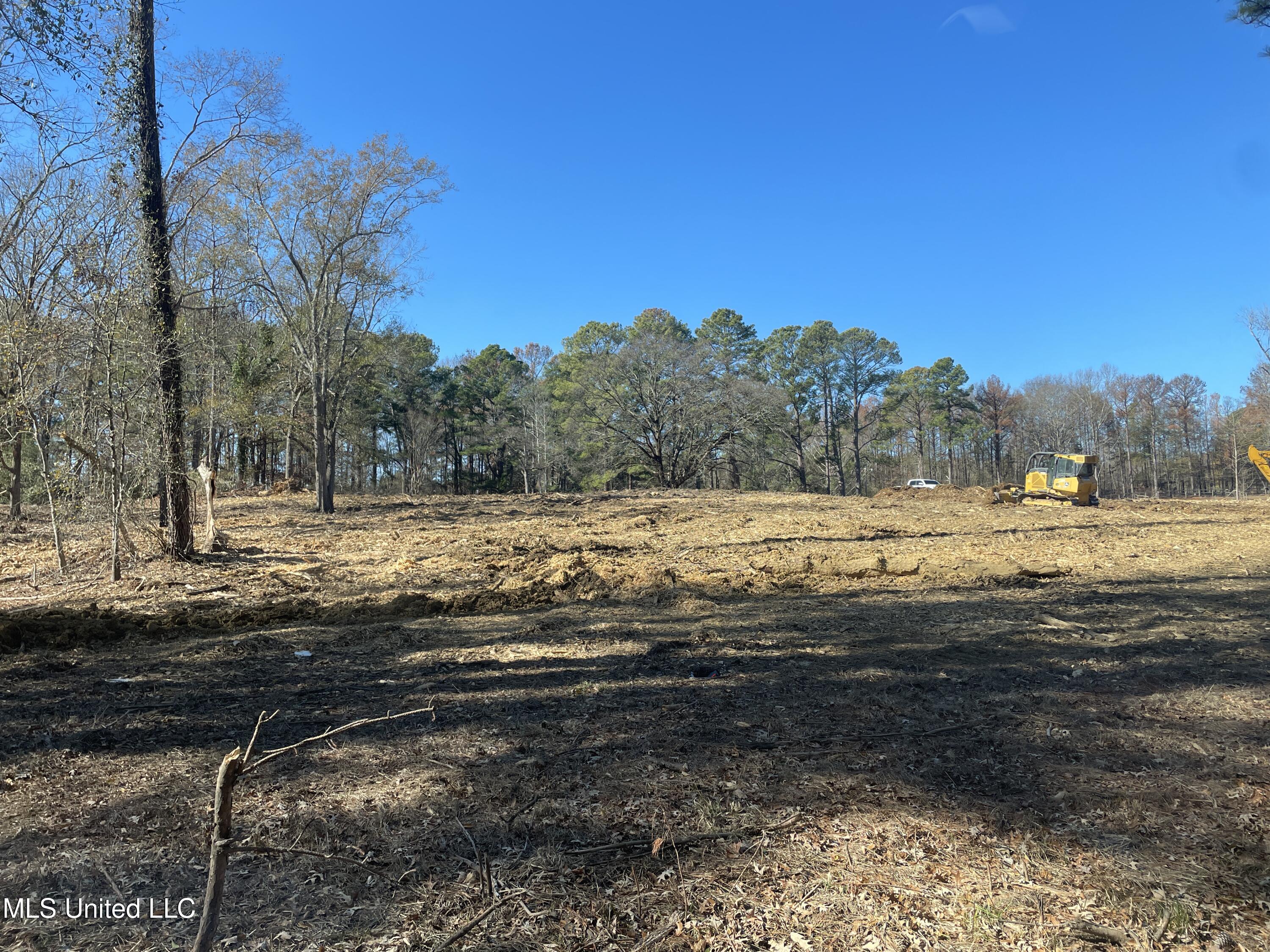 161 Autumn Woods Drive, Madison, Mississippi image 8