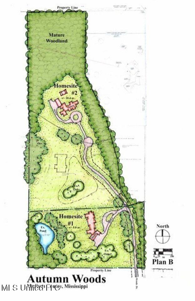 161 Autumn Woods Drive, Madison, Mississippi image 11