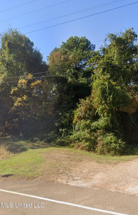 Vacant Land For Sale - 4555 Sardis Lake Drive<br/> Panola County, Batesville, MS 38606