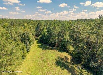 Vacant Land For Sale - Nell Lambert Road<br/> Jayess, MS 39641