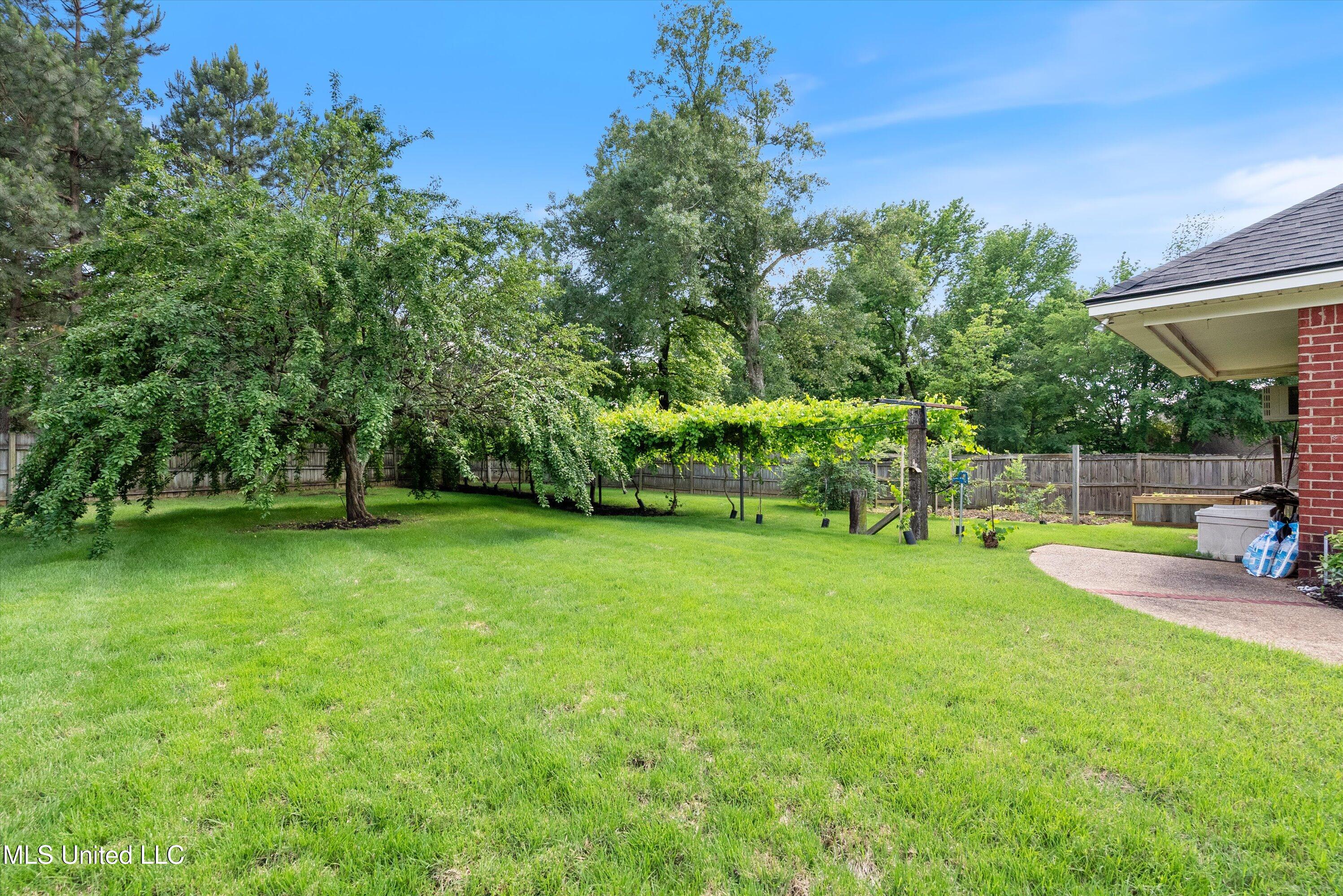 2355 Cumberland Drive, Southaven, Mississippi image 43