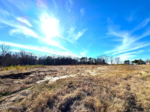Vacant Land For Sale - 2939 Cyrene Drive<br/> Hernando, MS 38632