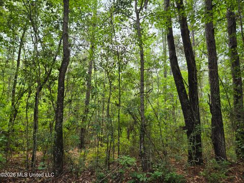 Vacant Land For Sale - Harry Sones Road<br/> Pearl River County, Carriere, MS 39426