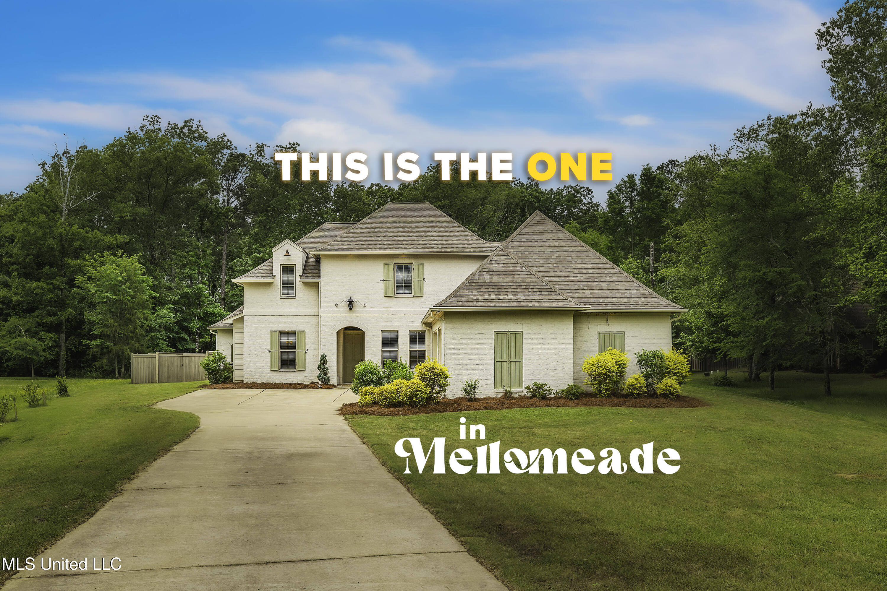 413 Miles Cove, Brandon, Mississippi image 1