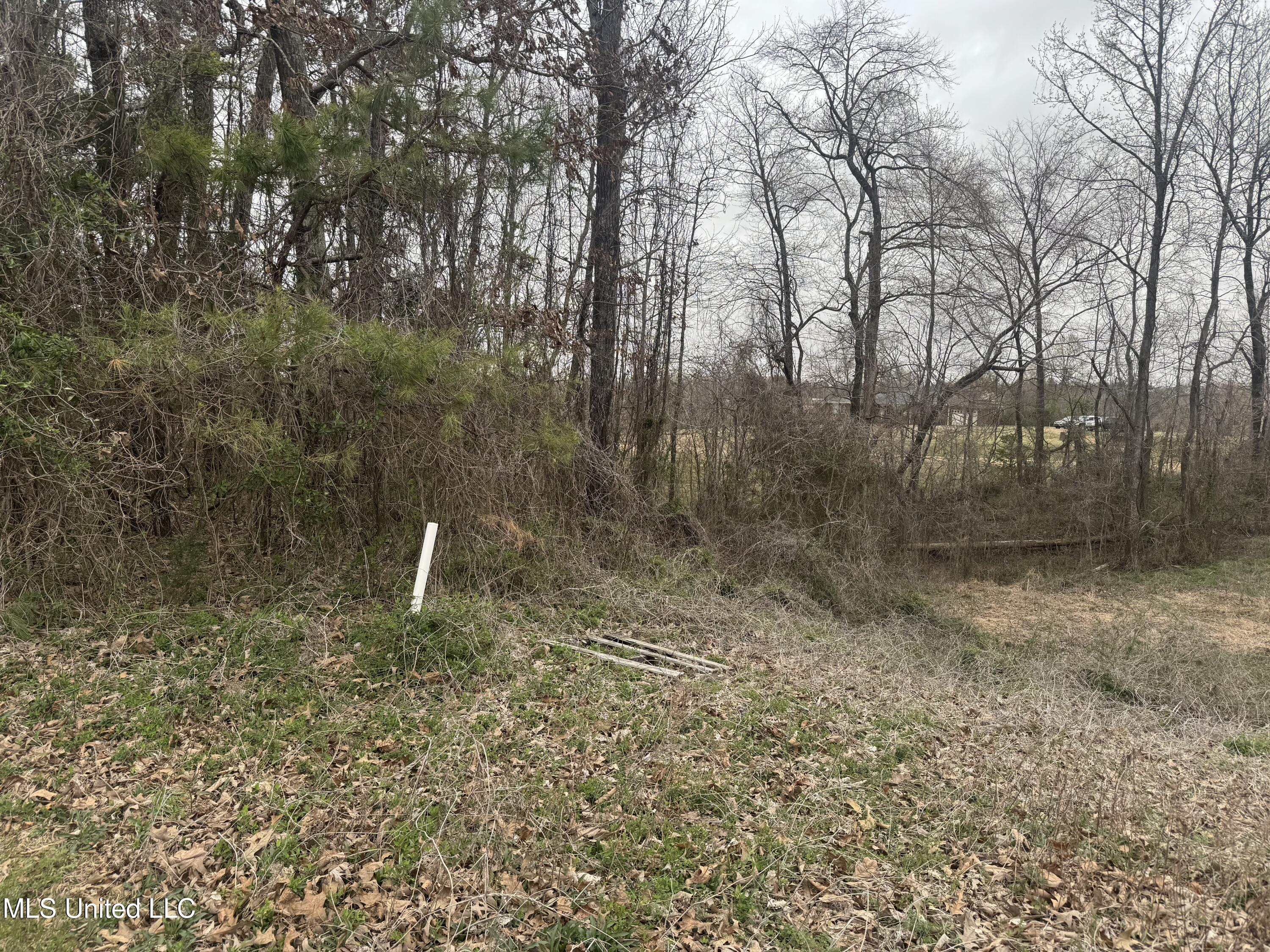 Kite Cove, Holly Springs, Mississippi image 4