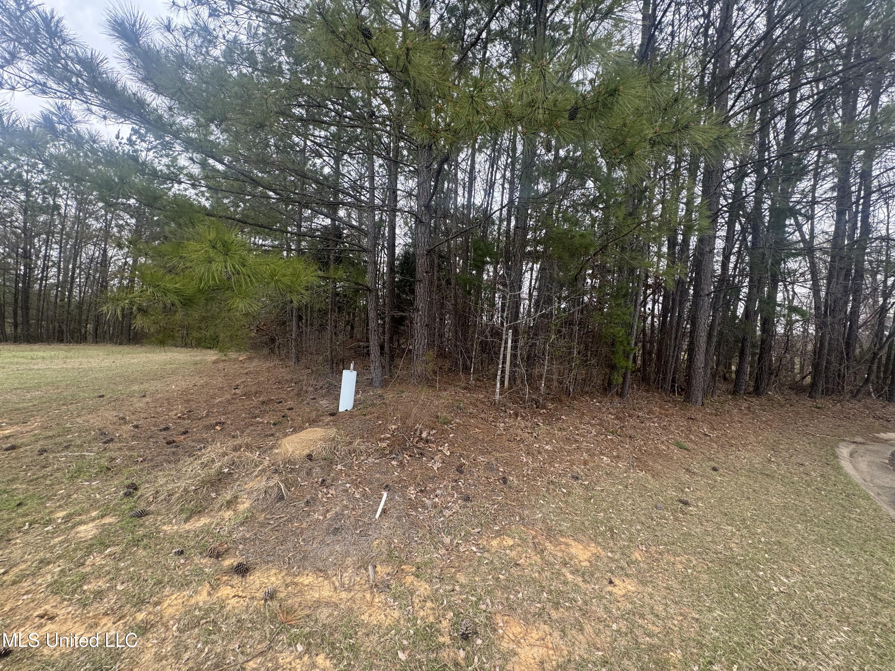 Kite Cove, Holly Springs, Mississippi image 1