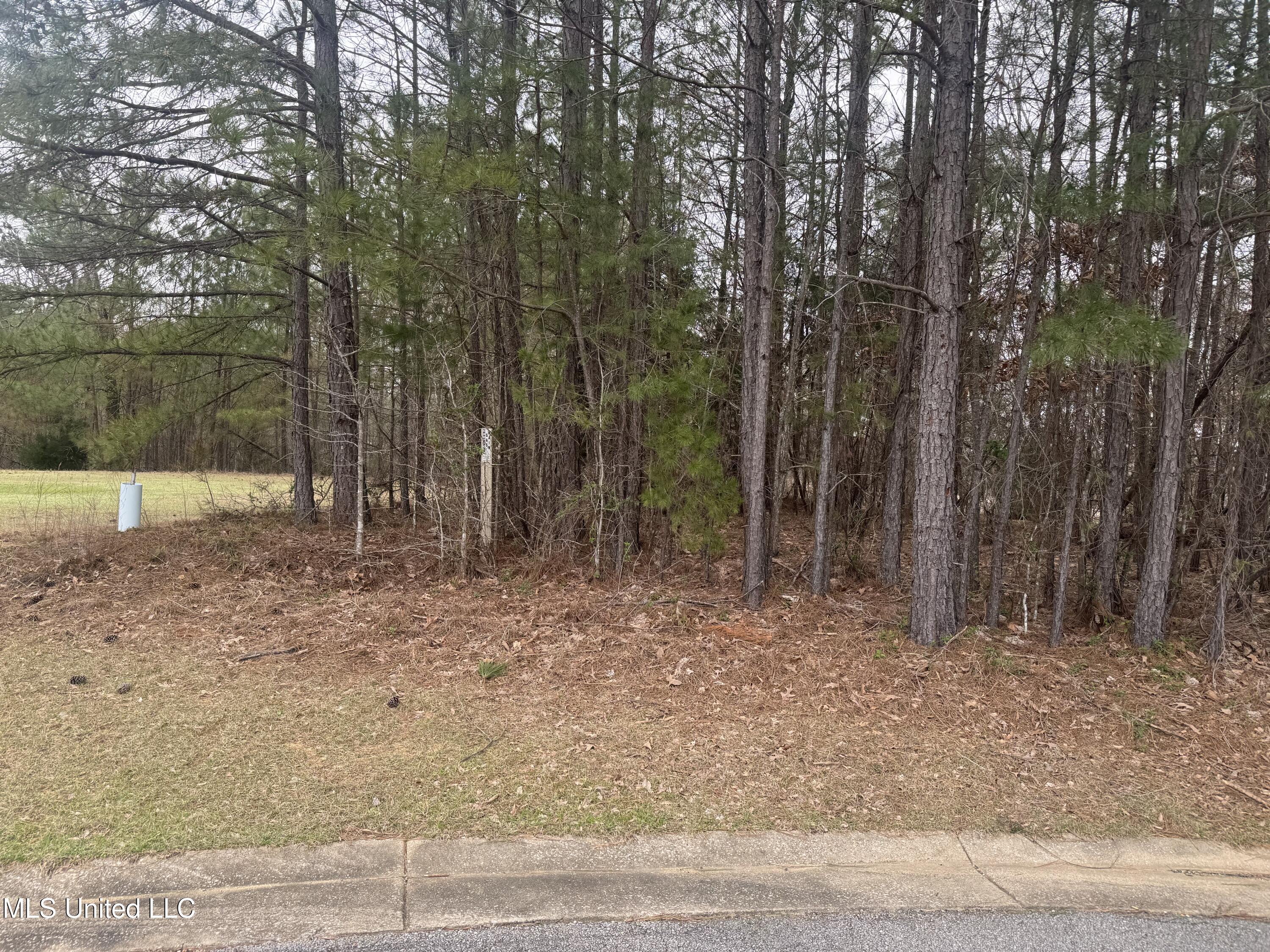 Kite Cove, Holly Springs, Mississippi image 2