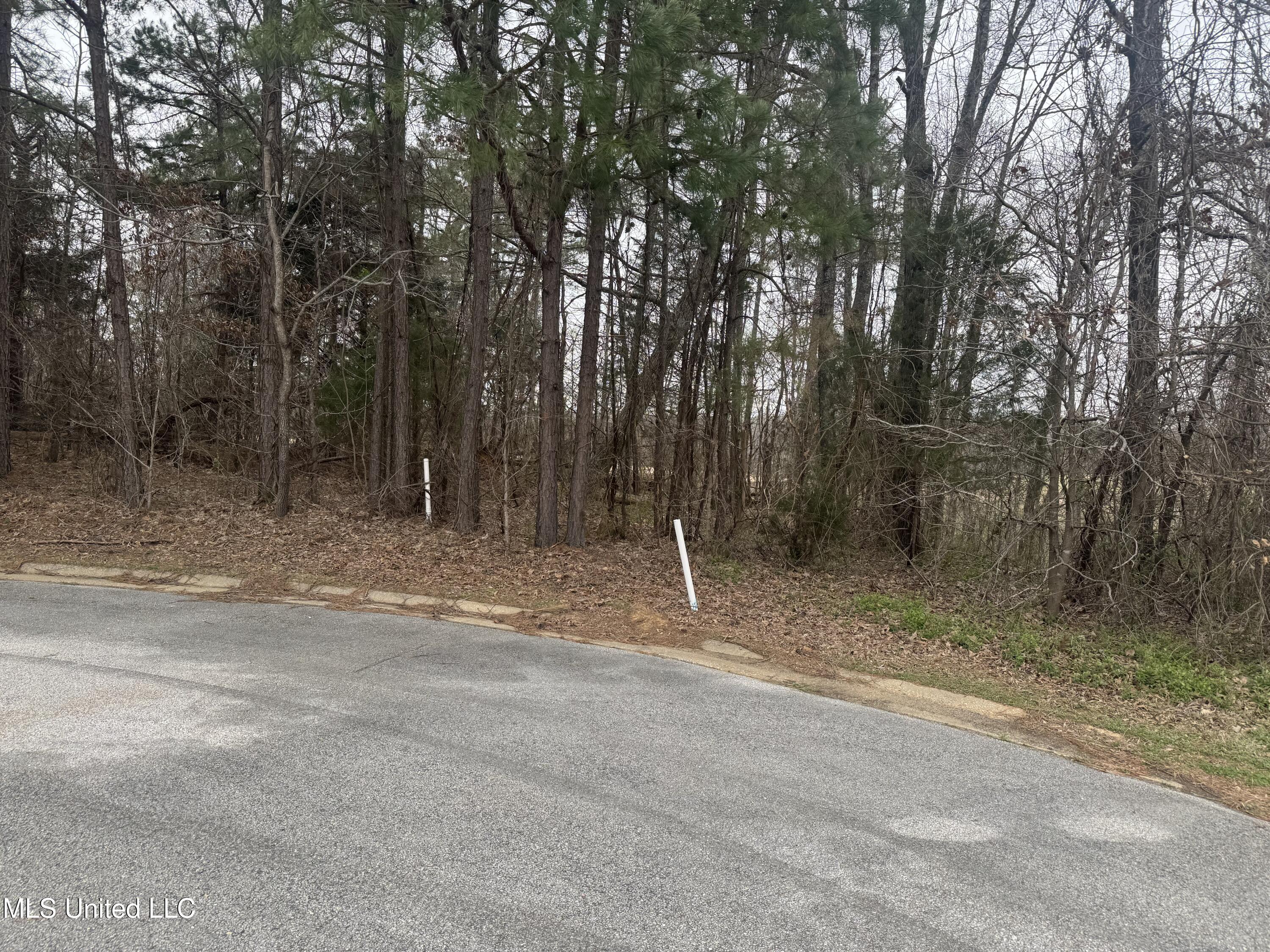 Kite Cove, Holly Springs, Mississippi image 3