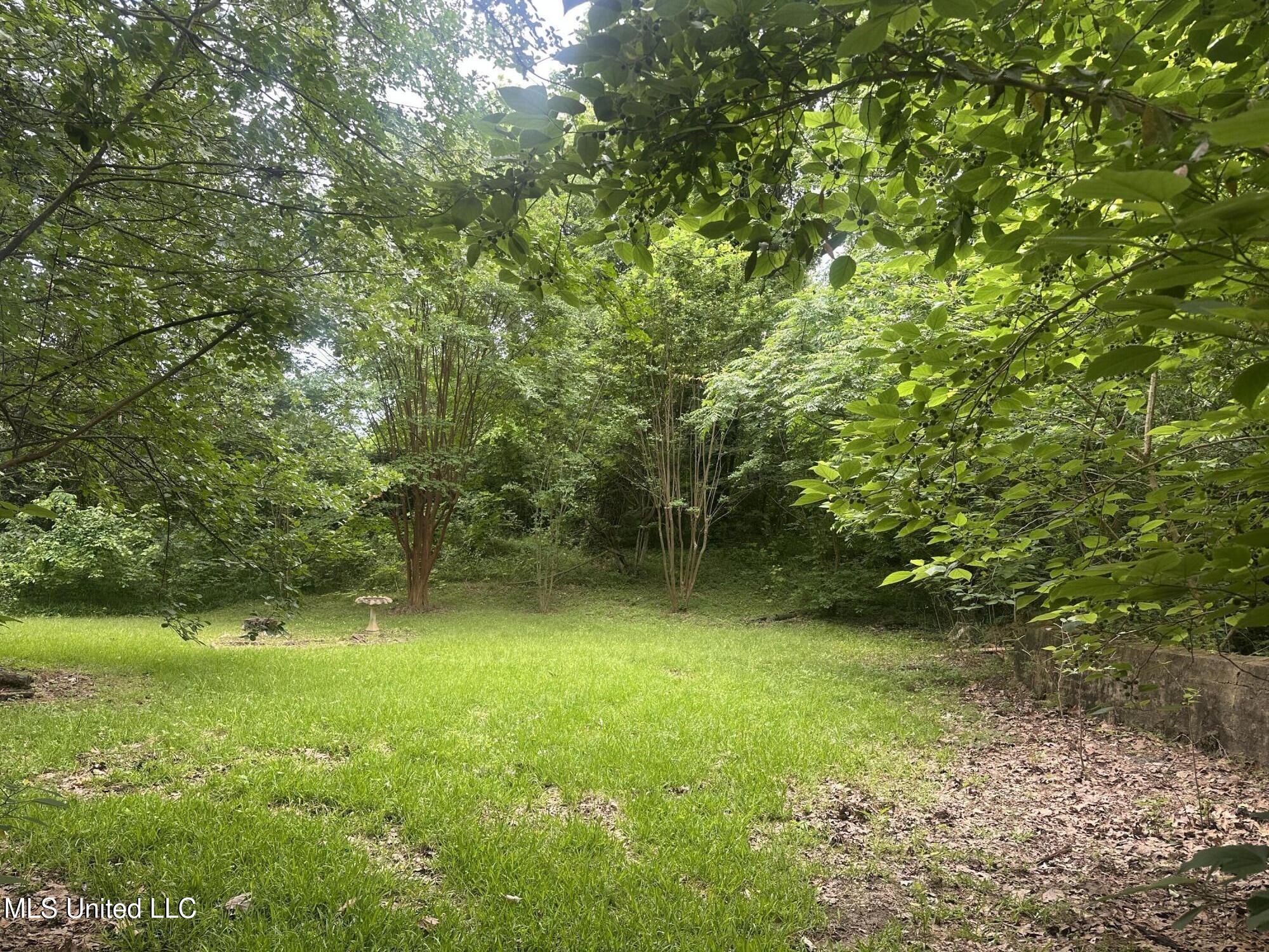 840 Ridge Road, Yazoo City, Mississippi image 5