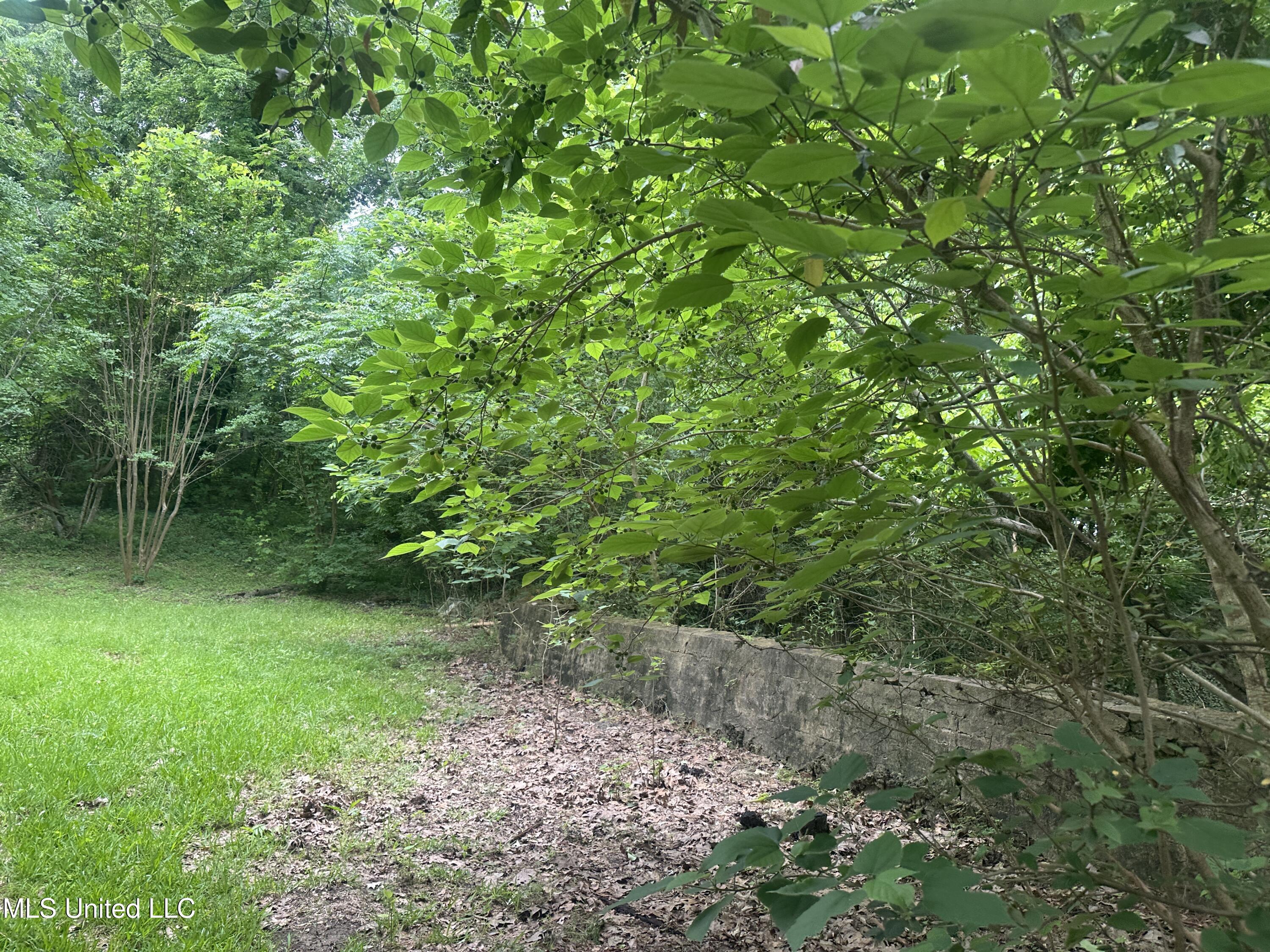 840 Ridge Road, Yazoo City, Mississippi image 6